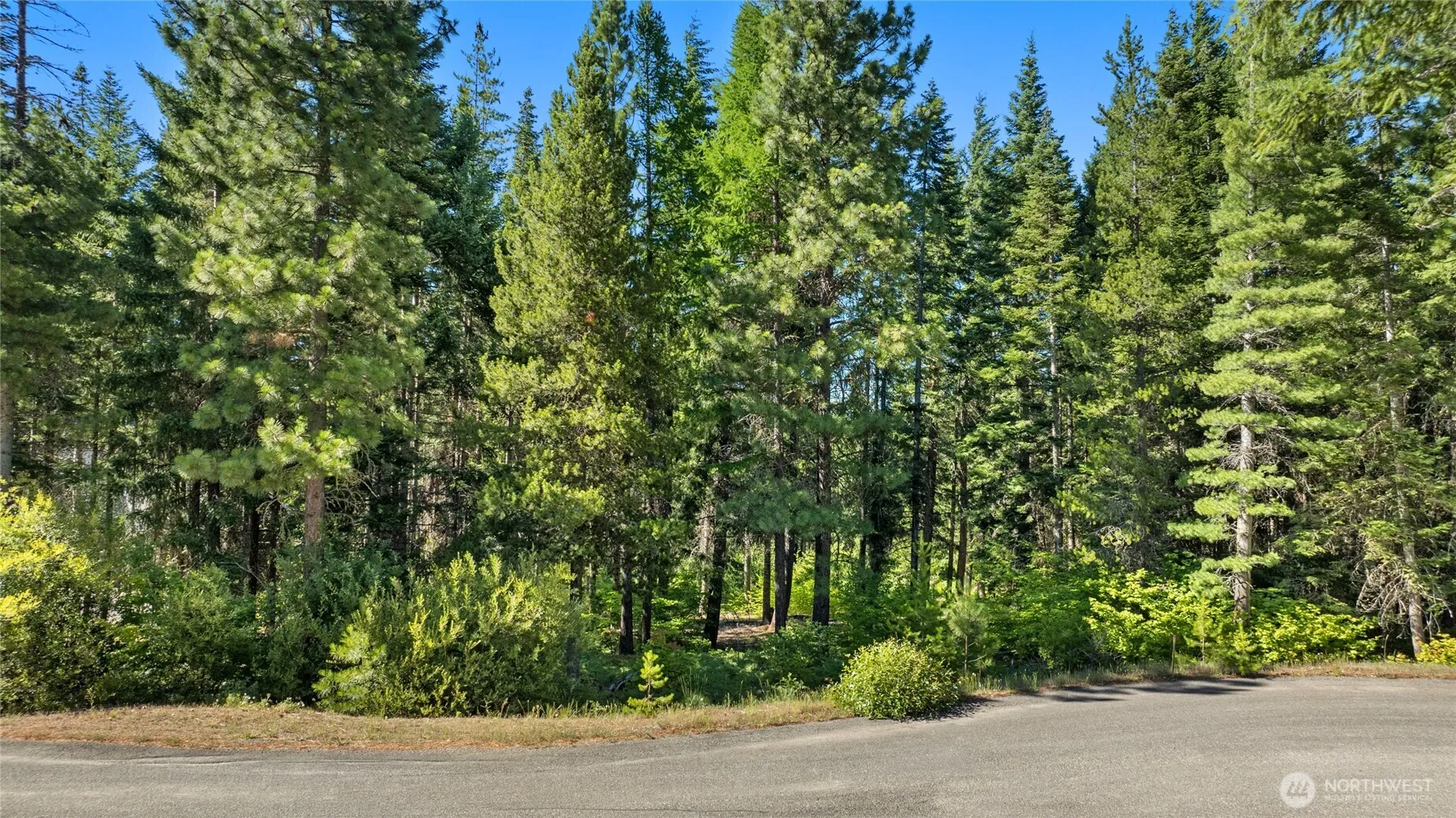 Property photo for 131 Goat Creek Lane, Cle Elum photo 4