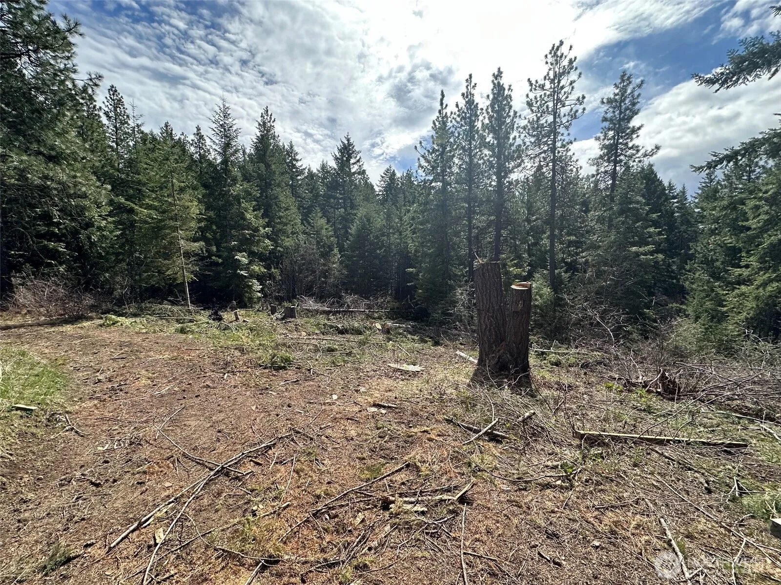 Property photo for 170 Morel Road, Ronald photo 3