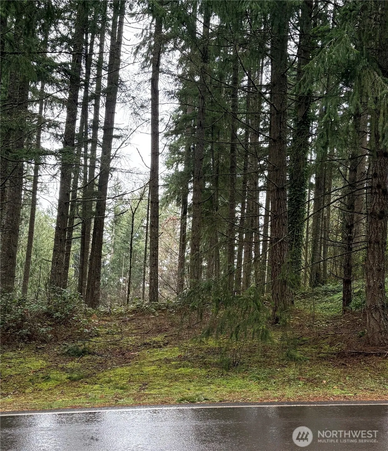 Property photo for 22020 Clearlake Boulevard Se, Yelm photo 2