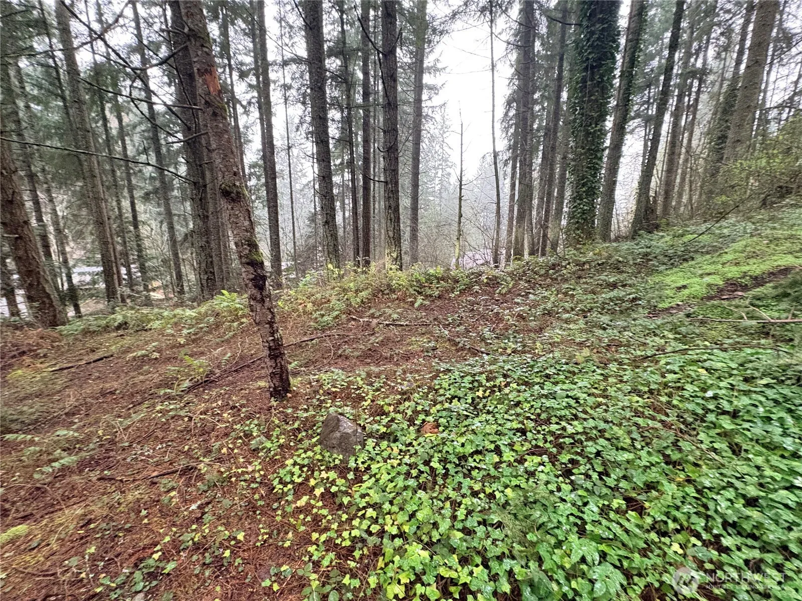 Property photo for 22020 Clearlake Boulevard Se, Yelm photo 3