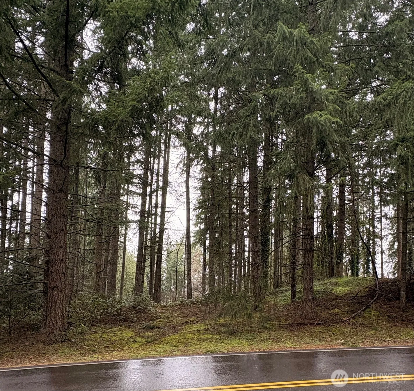 Property photo for 22020 Clearlake Boulevard Se, Yelm