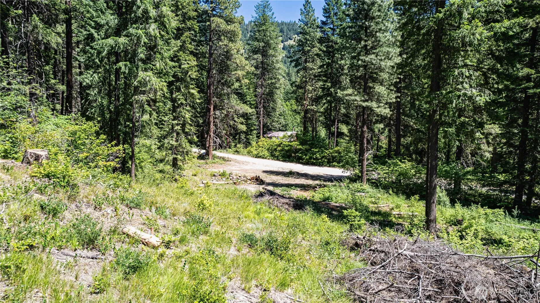 Property photo for 16757 Second Creek Road, Leavenworth photo 5