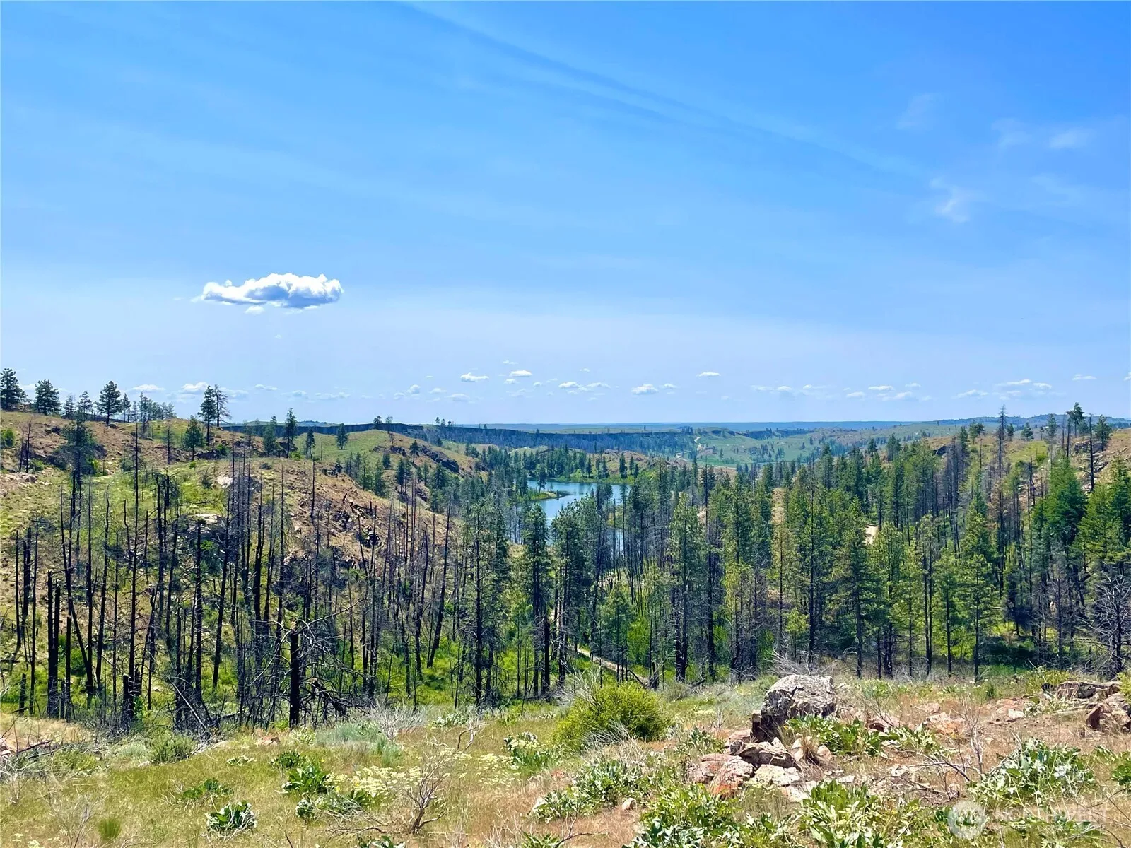 Property photo for 0 Tbd Madd Mtn Road, Okanogan
