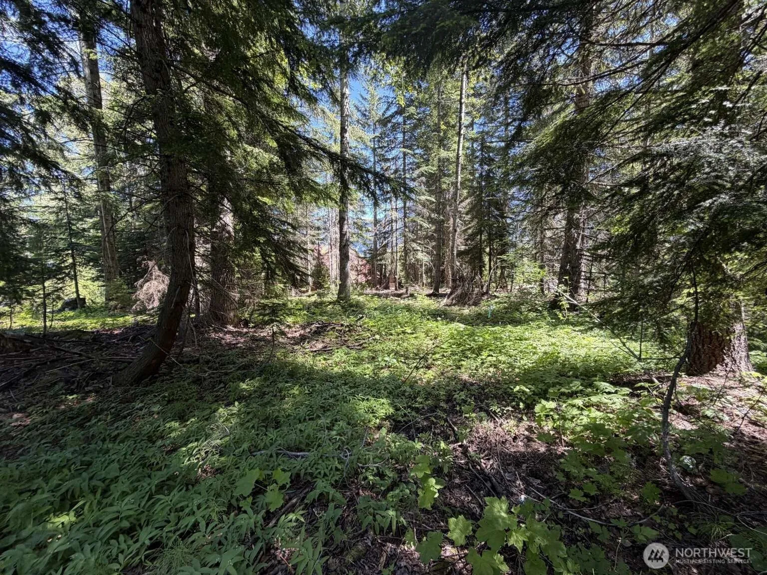 Property photo for 129 Chamonix Place, Snoqualmie Pass photo 4