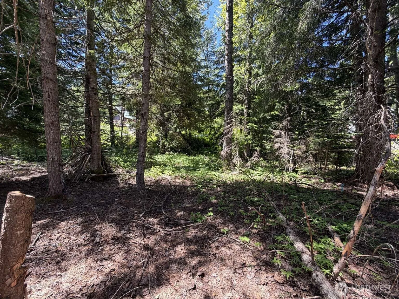 Property photo for 129 Chamonix Place, Snoqualmie Pass photo 3