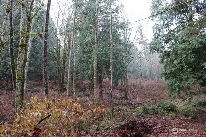 Property photo for 18700 Se 64th Way, Issaquah photo 2