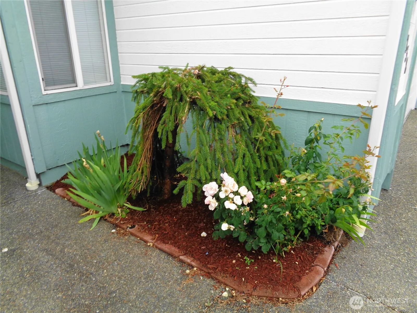Property photo for 8138 18th Lane Se, Lacey photo 5