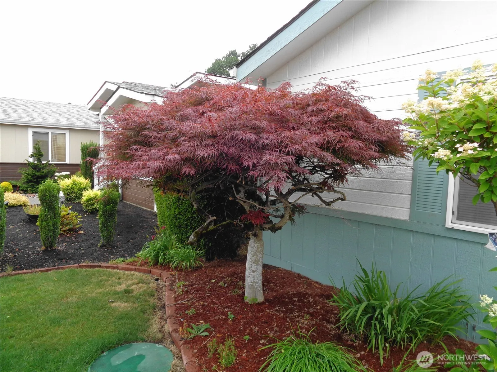 Property photo for 8138 18th Lane Se, Lacey photo 4