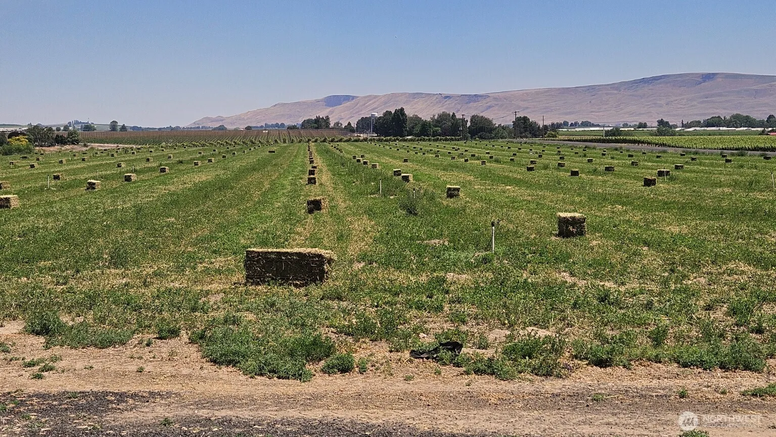 Property photo for 125498 W Mccreadie, Prosser photo 2