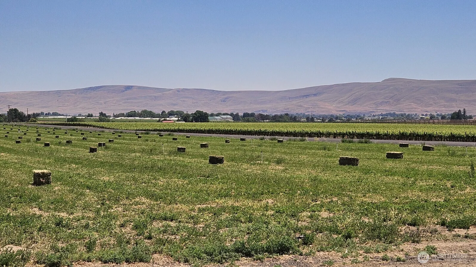 Property photo for 125498 W Mccreadie, Prosser photo 3