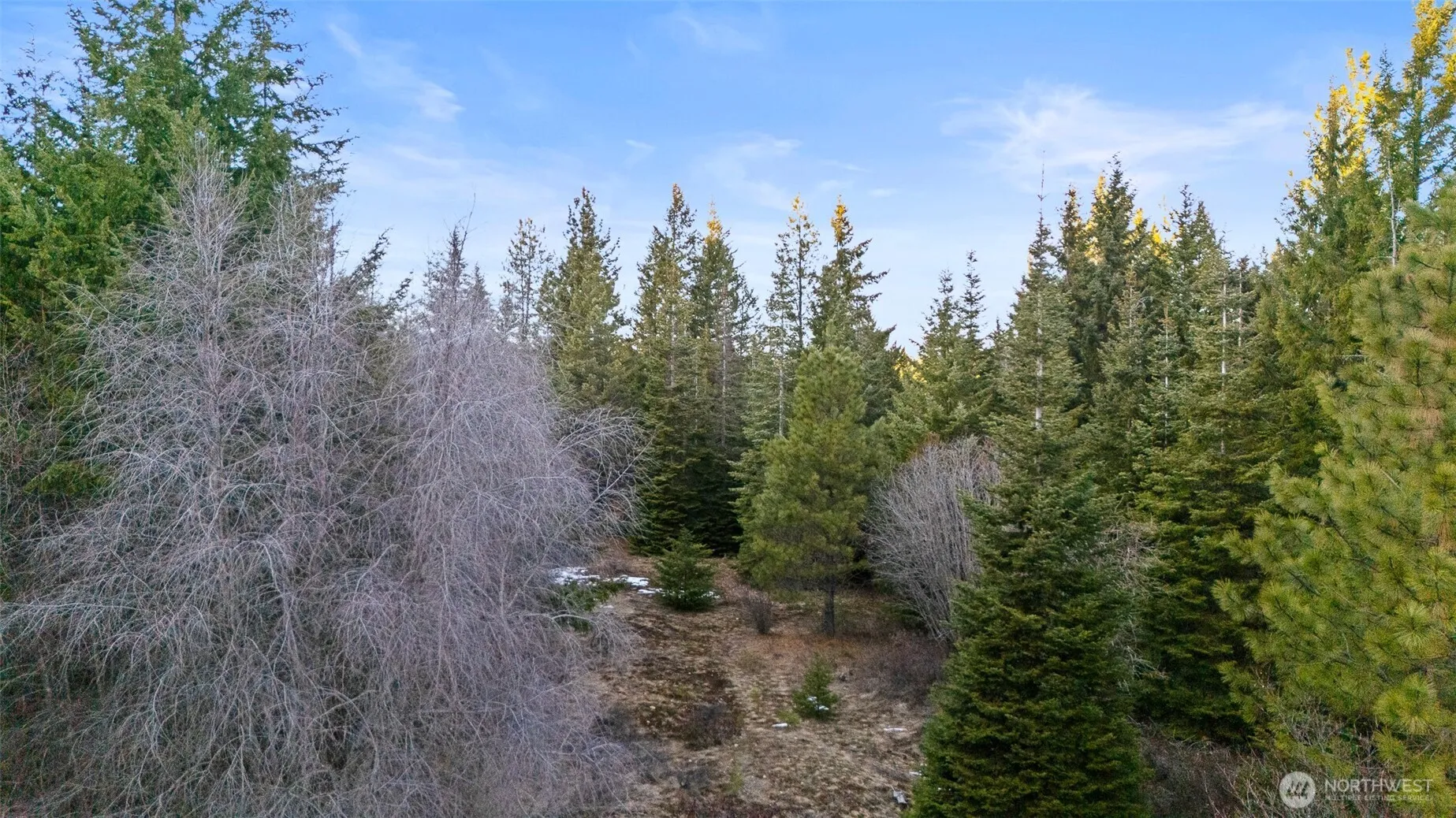 Property photo for 3301 Jenkins Drive, Cle Elum photo 5