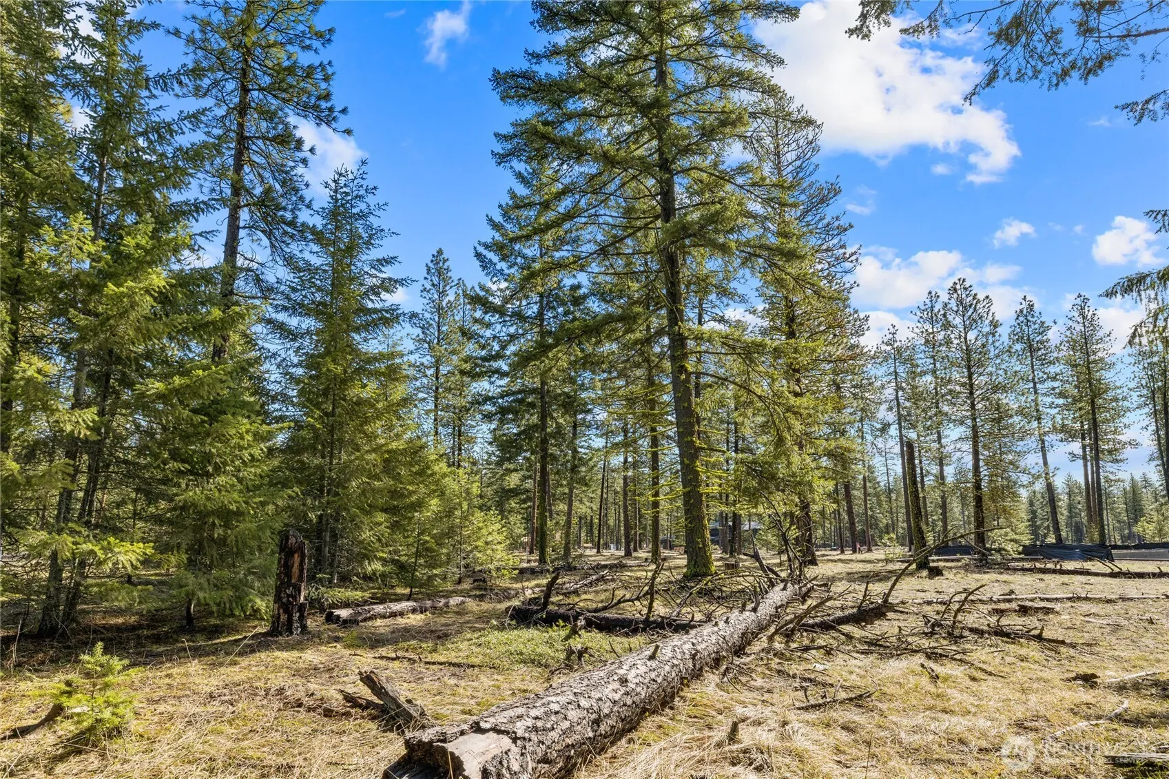 Property photo for 126 Lot Wanawish, Cle Elum photo 5