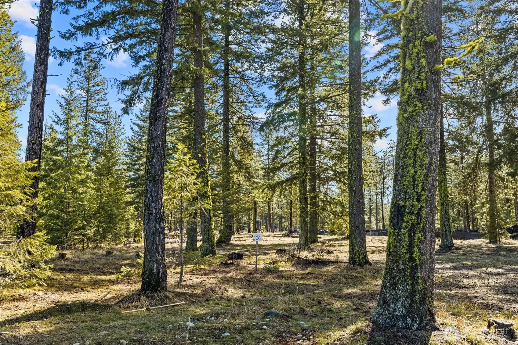 Property photo for 126 Lot Wanawish, Cle Elum photo 3