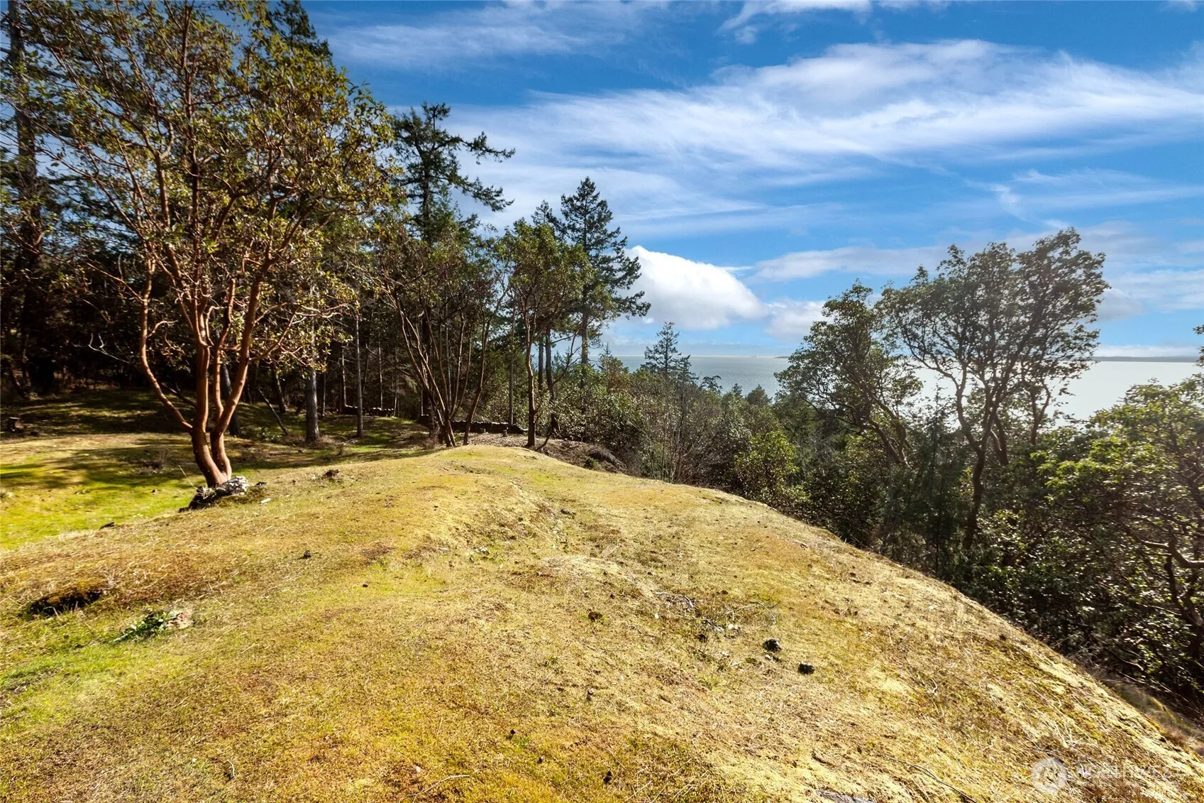 Property photo for 0 Spinnaker Lane Lot 7, Friday Harbor photo 3