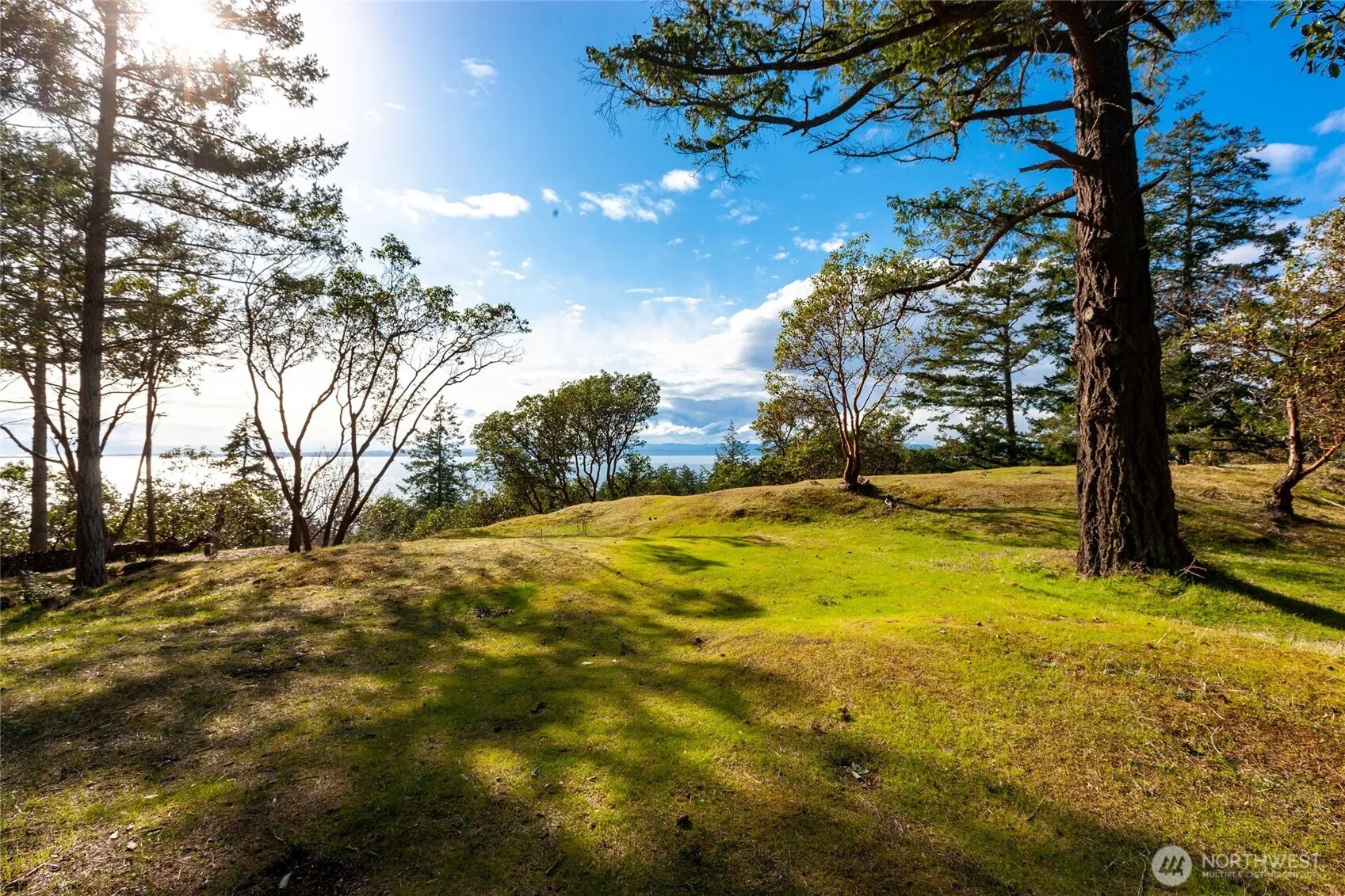 Property photo for 0 Spinnaker Lane Lot 7, Friday Harbor photo 2