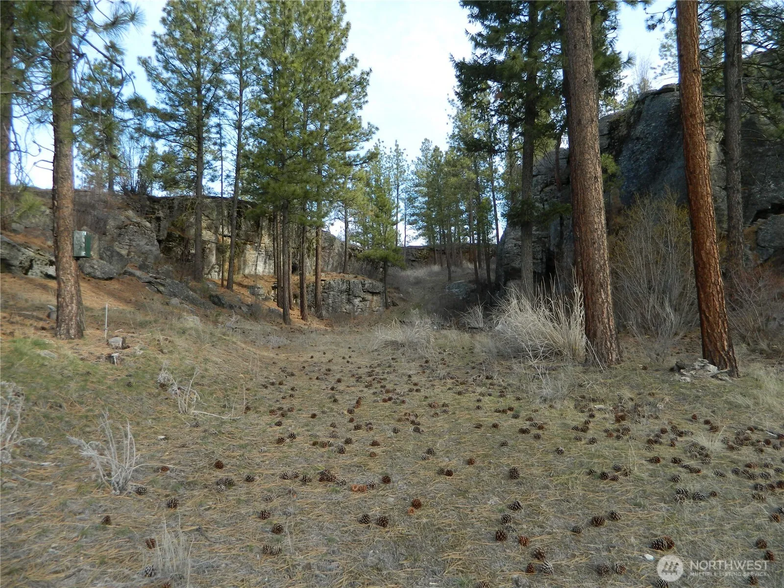 Property photo for 28 Ridgeline Road, Tonasket photo 5