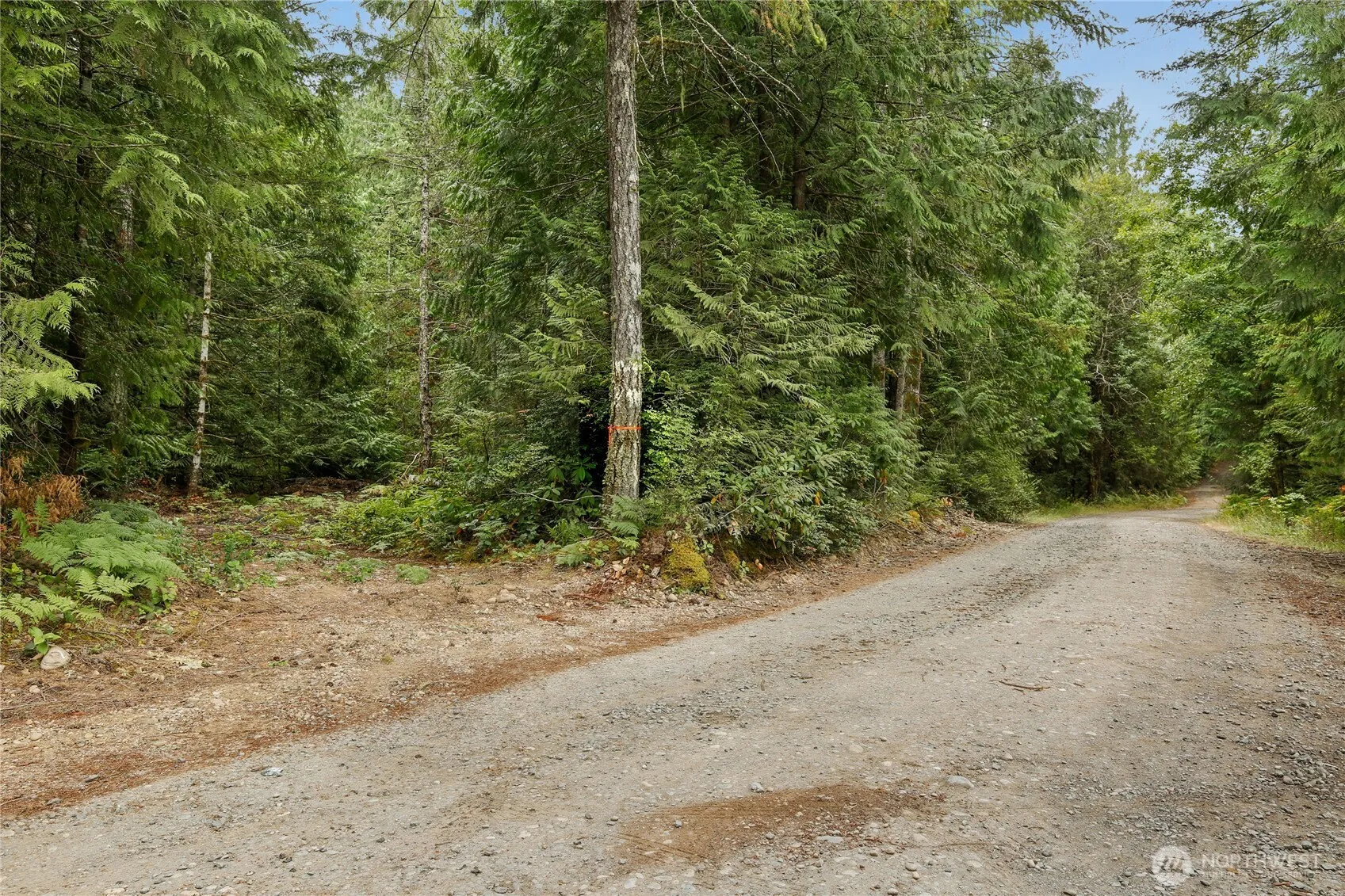 Property photo for 1171 W Camp Sundown Road, Bremerton photo 3