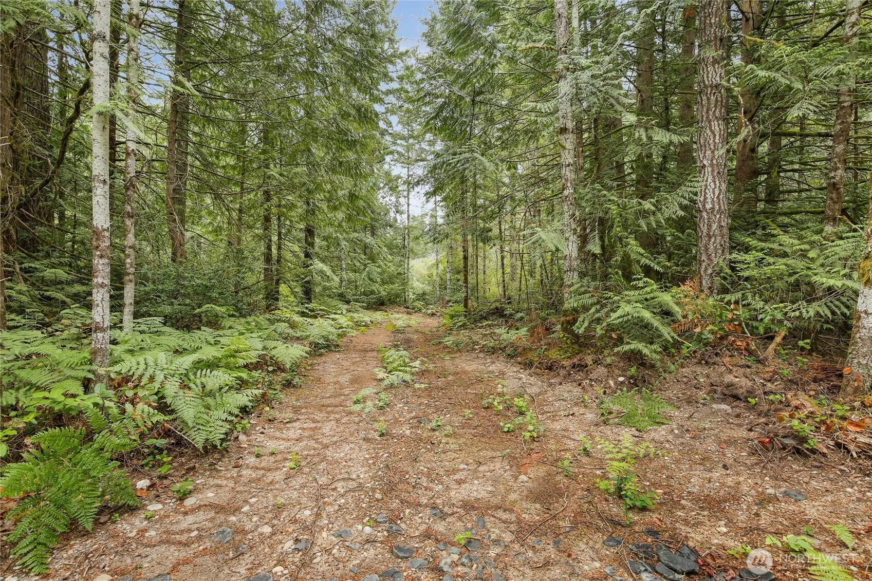 Property photo for 1171 W Camp Sundown Road, Bremerton photo 5