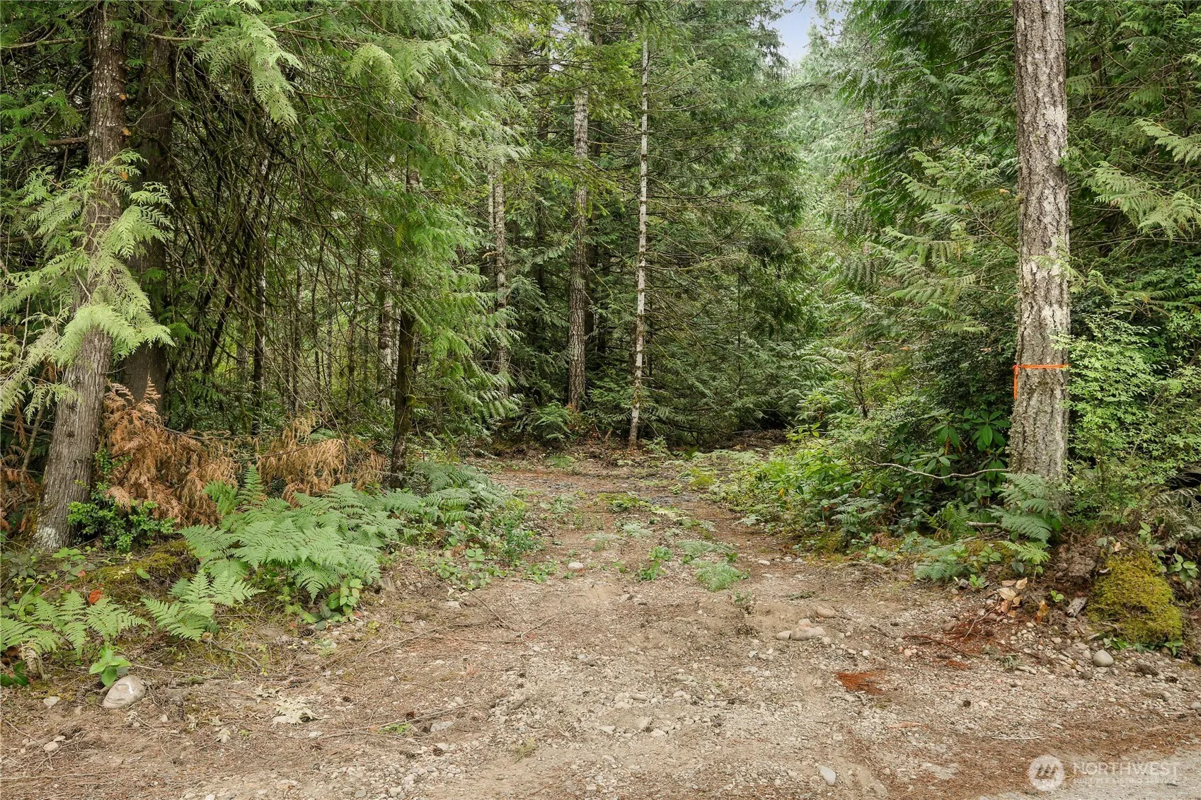 Property photo for 1171 W Camp Sundown Road, Bremerton photo 4