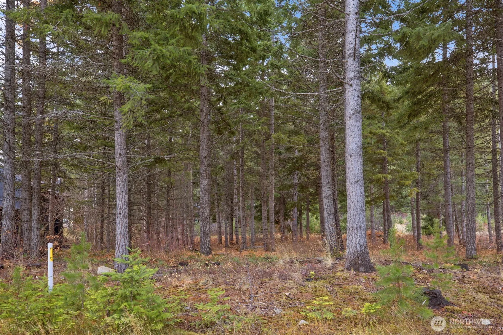 Property photo for 230 Goat Creek Lane, Cle Elum photo 2