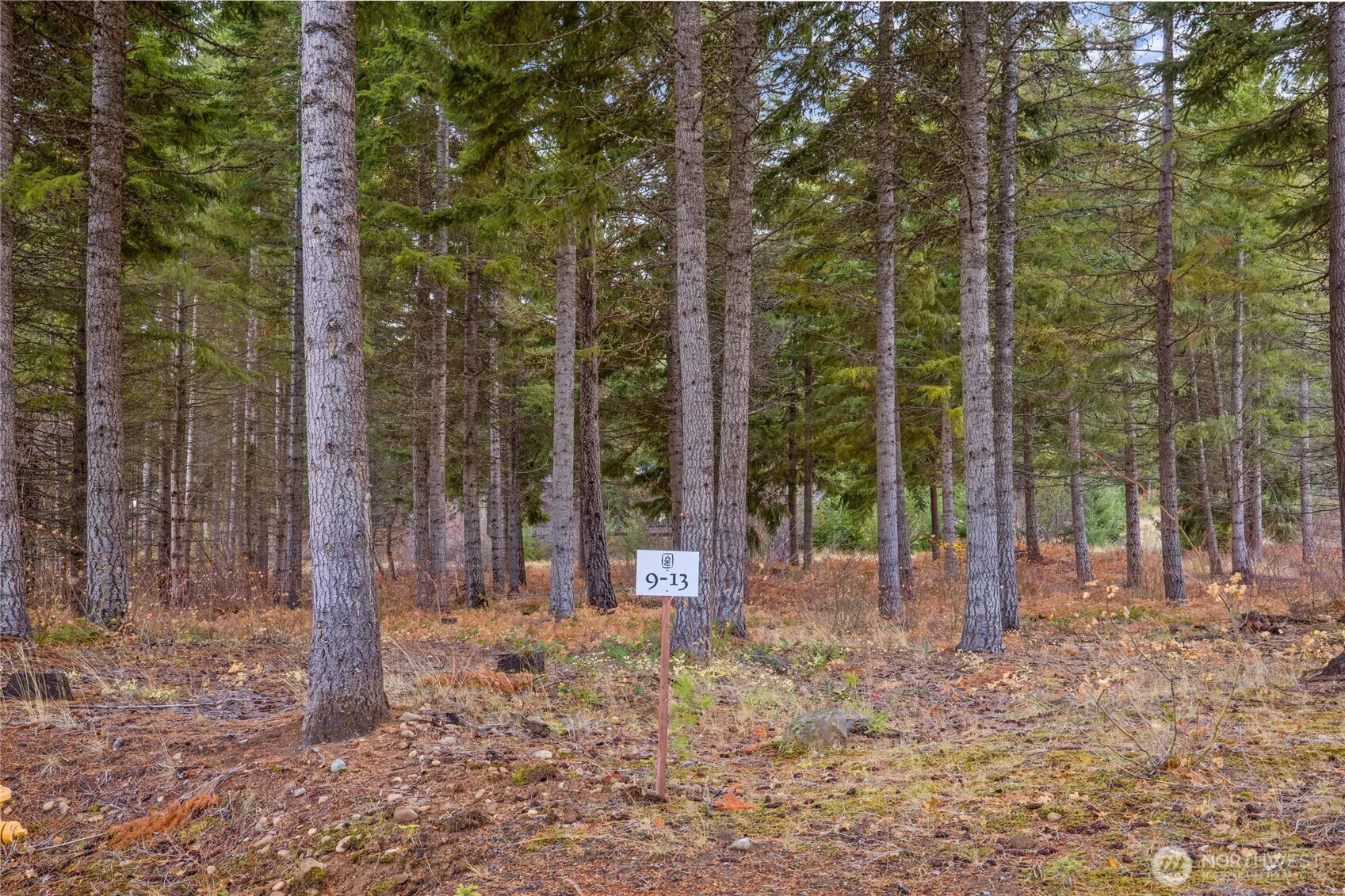 Property photo for 230 Goat Creek Lane, Cle Elum photo 3