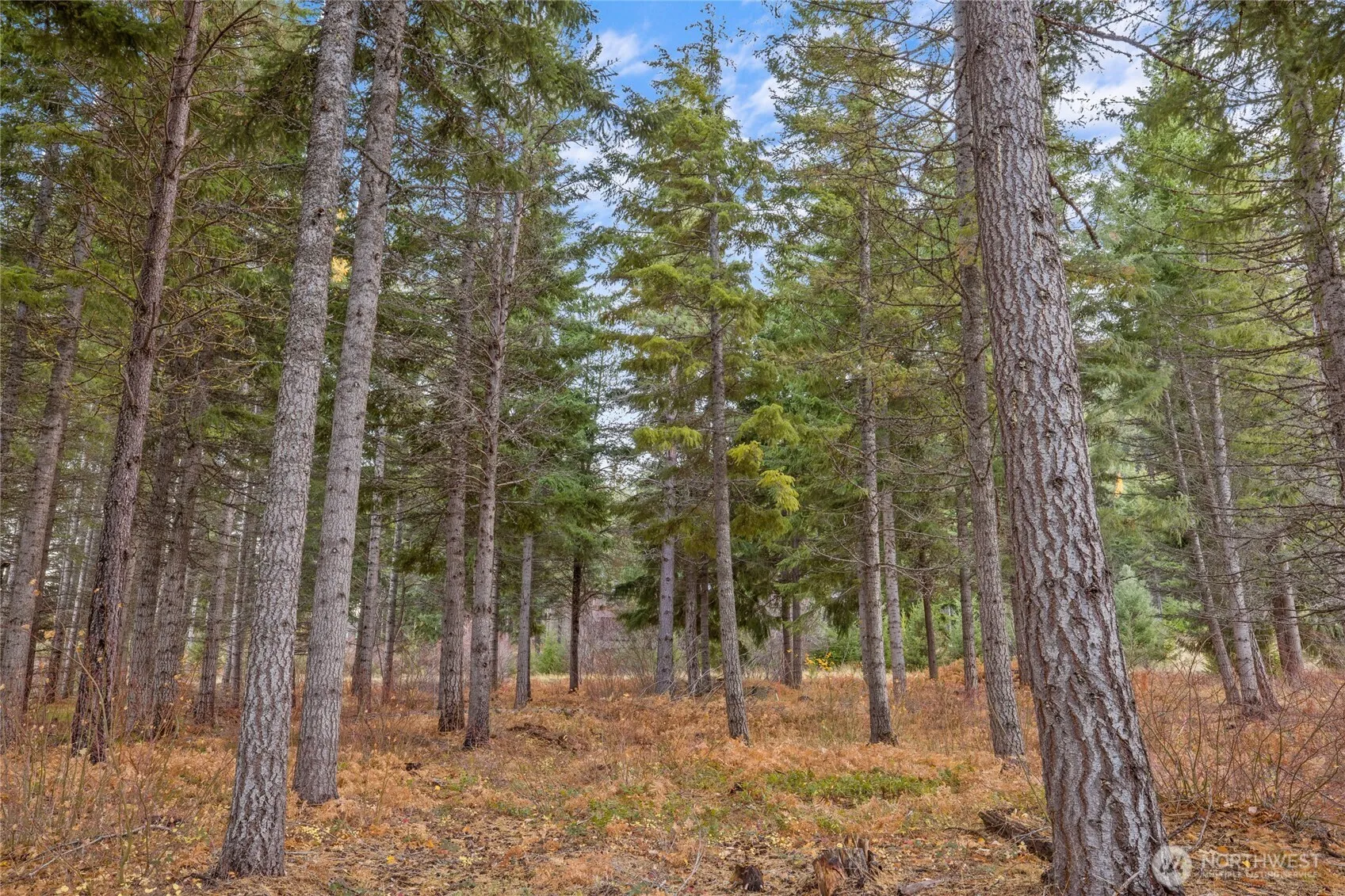Property photo for 230 Goat Creek Lane, Cle Elum