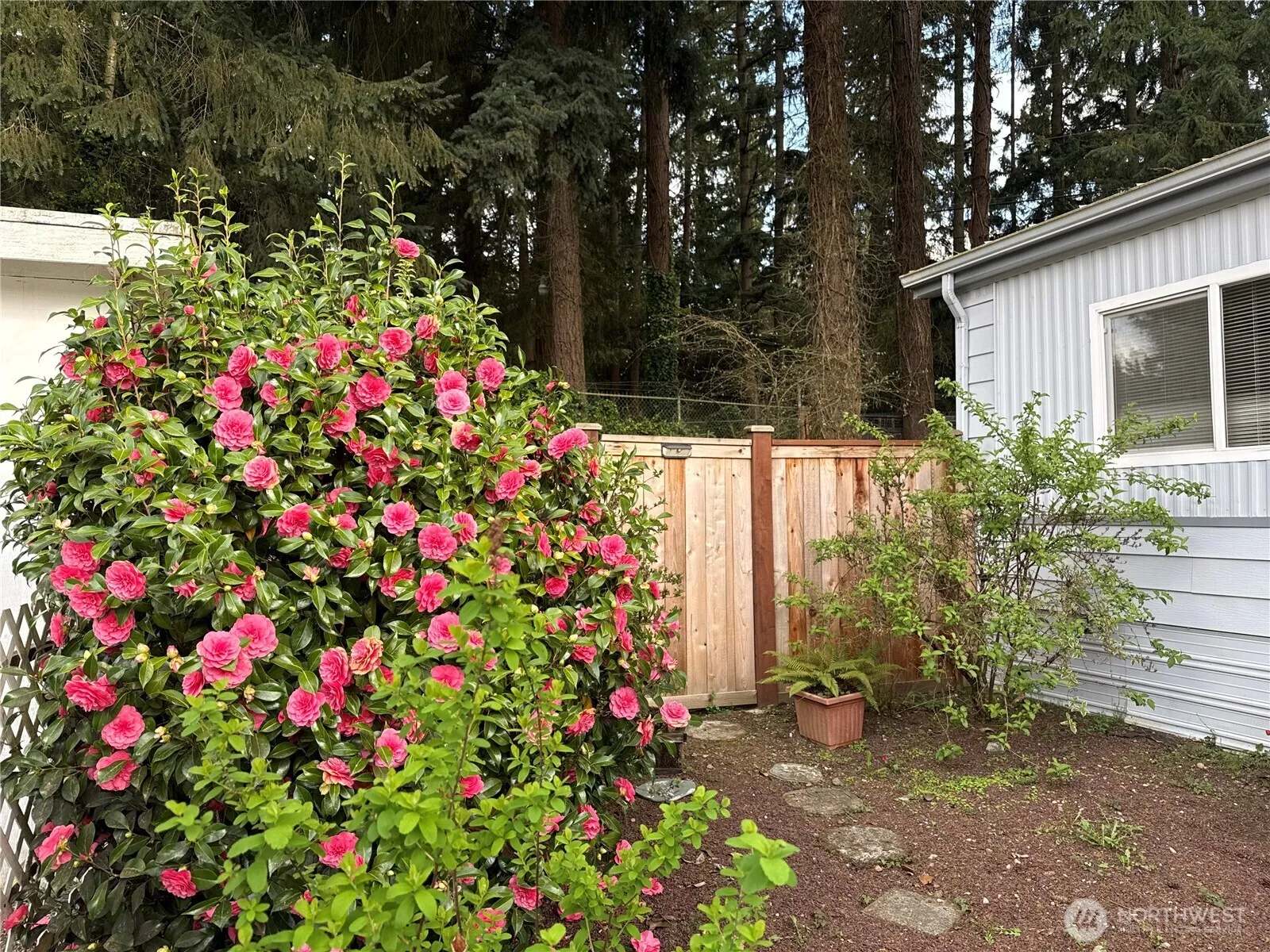 Property photo for 12727 112th Avenue E #13, Puyallup photo 5