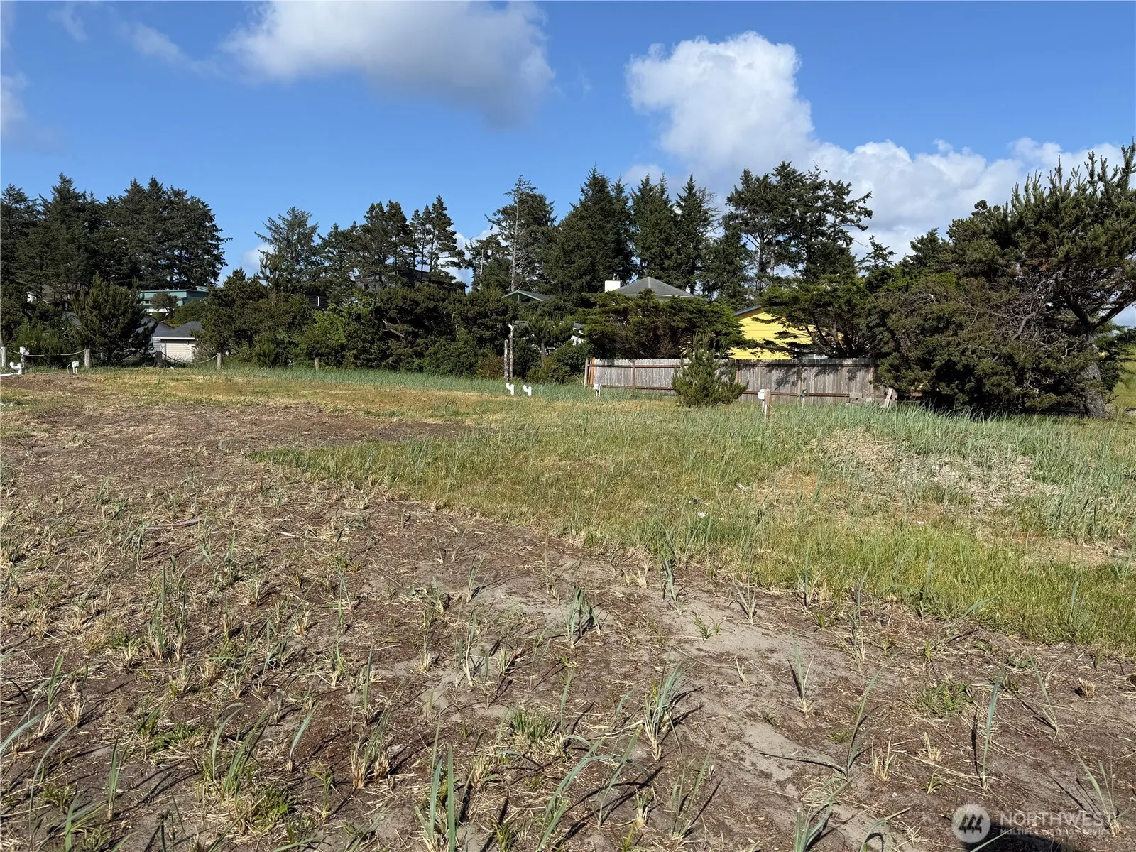 Property photo for 31202 I Street E, Ocean Park photo 5