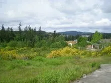 Property photo for 0 Pottery Avenue, Port Orchard photo 5