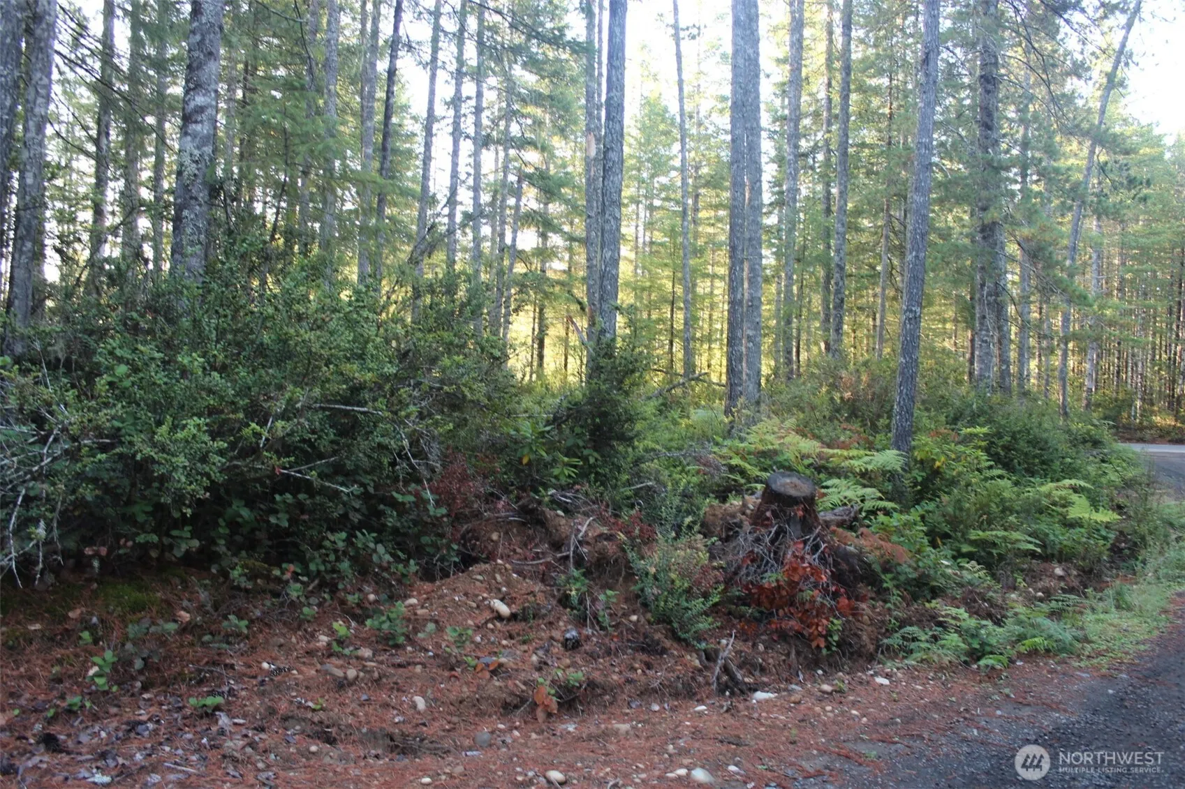 Property photo for 3511 Ne Tahuya Blacksmith Rd, Tahuya