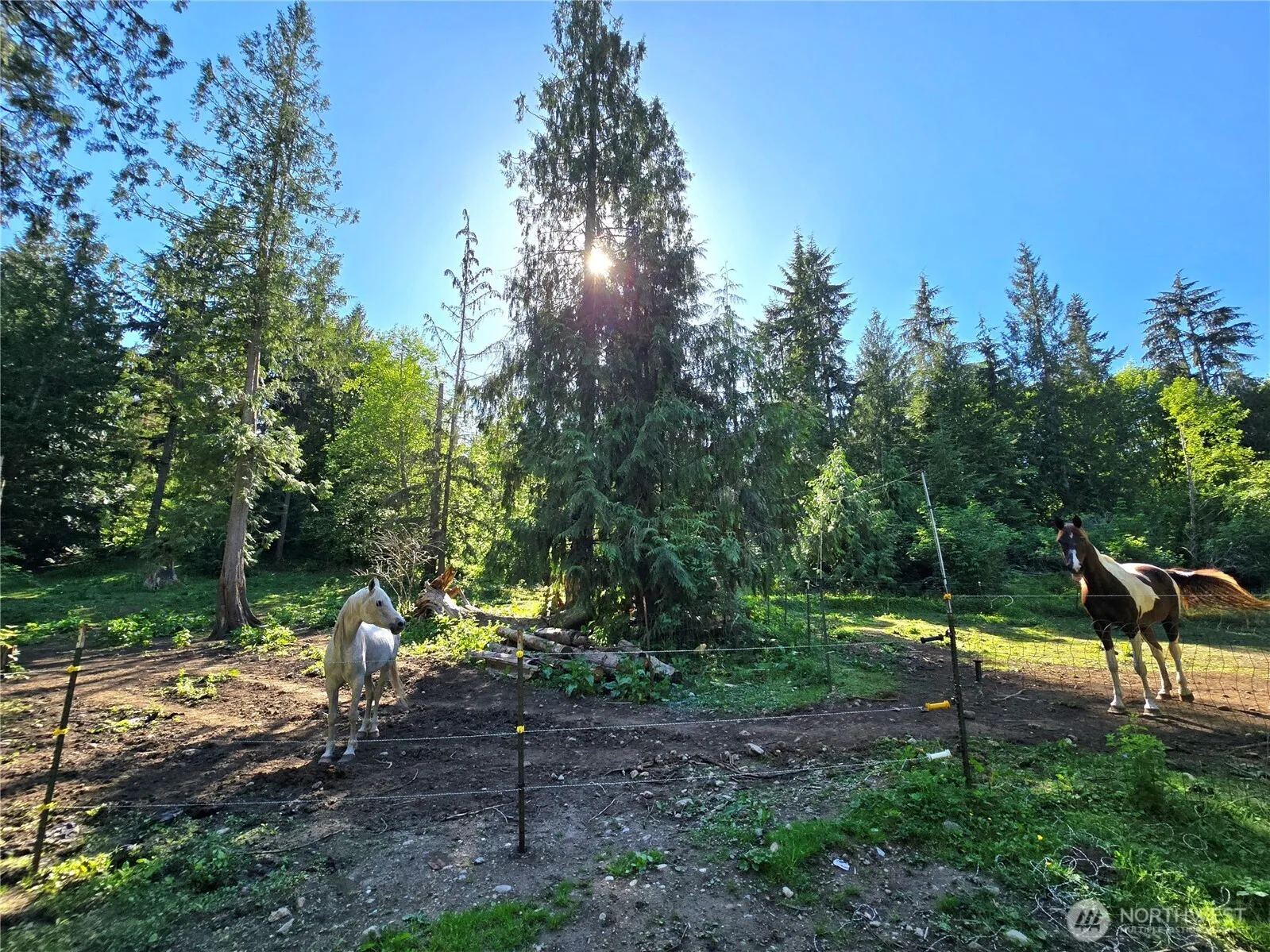 Property photo for 16827 Ne 24th Place, Snohomish photo 3