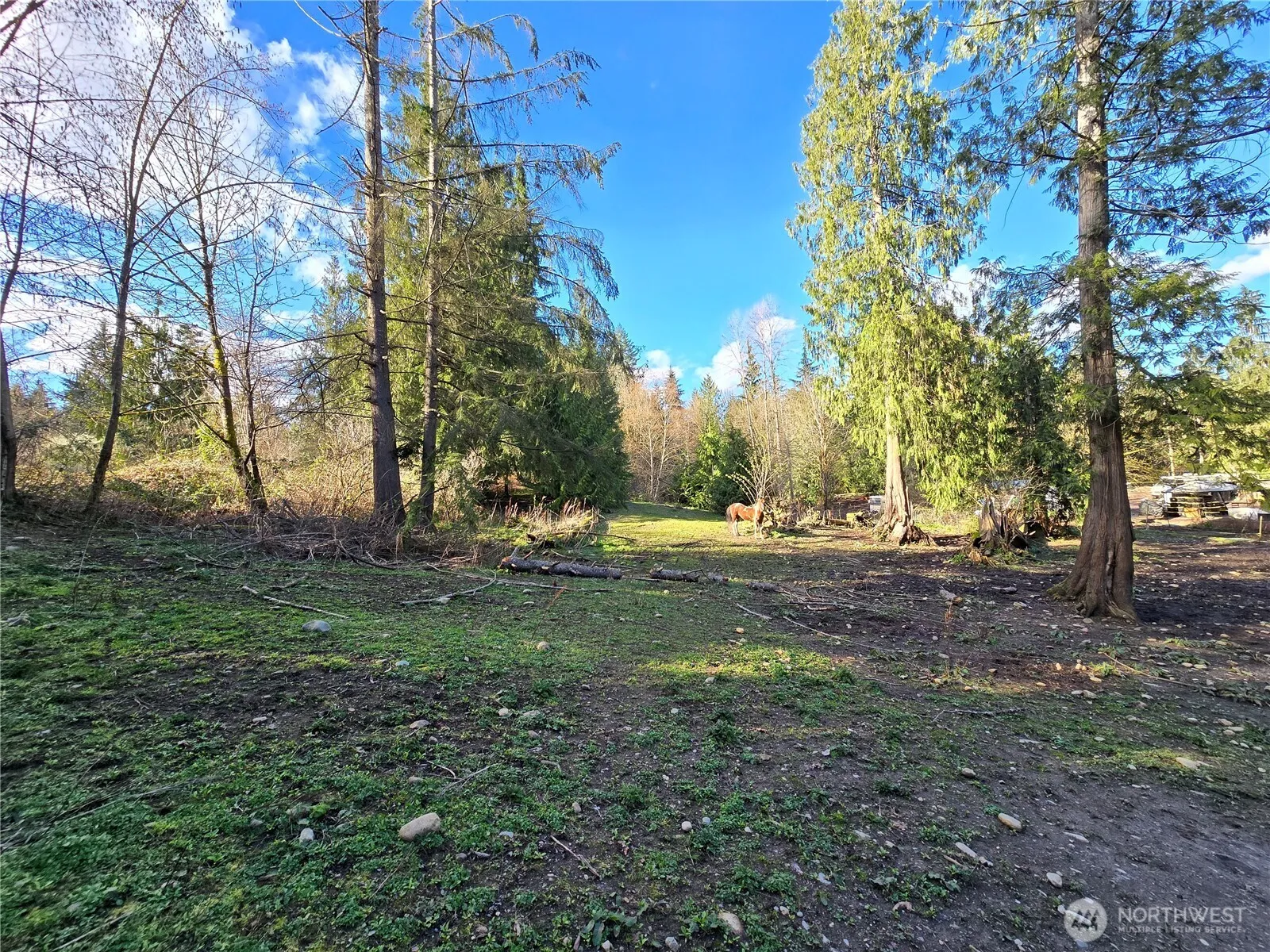 Property photo for 16827 Ne 24th Place, Snohomish photo 2