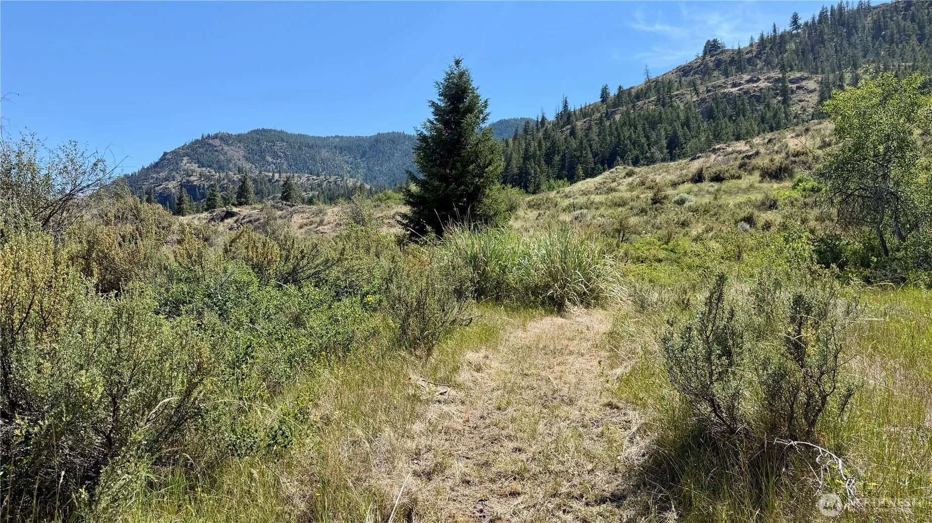 Property photo for 2 X Alder Road, Twisp photo 2