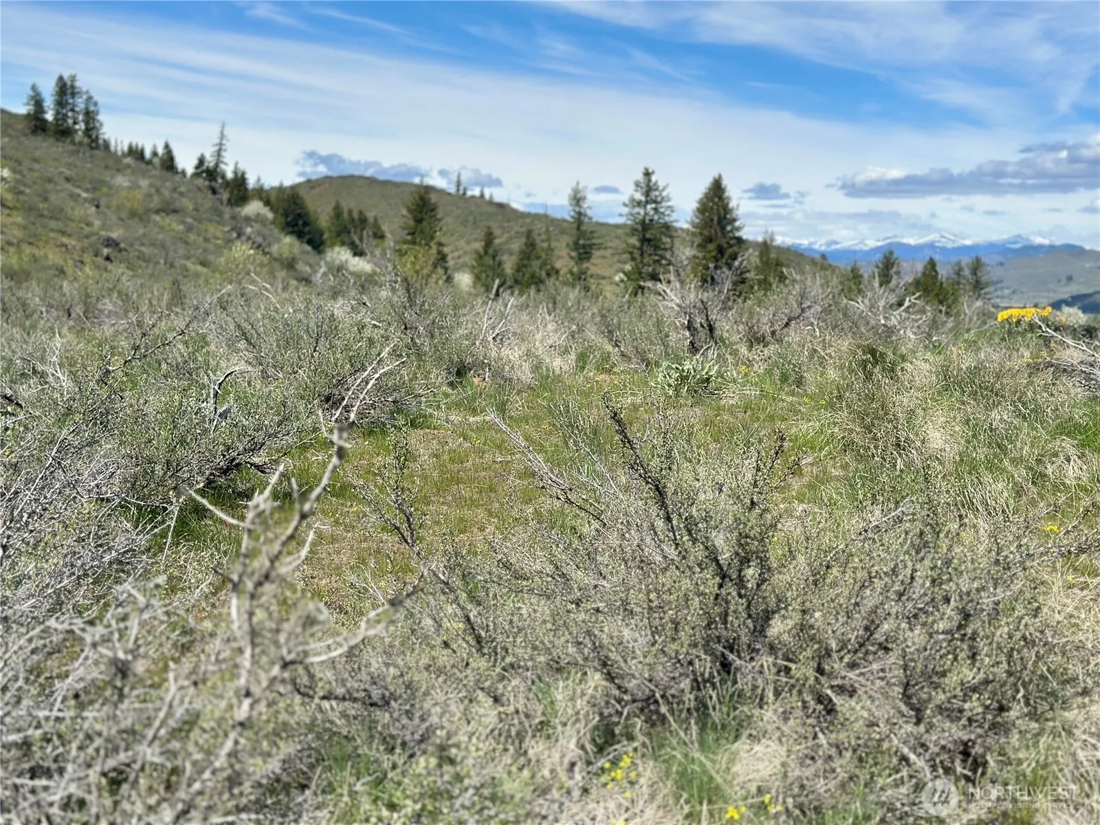 Property photo for 2 X Alder Road, Twisp photo 5