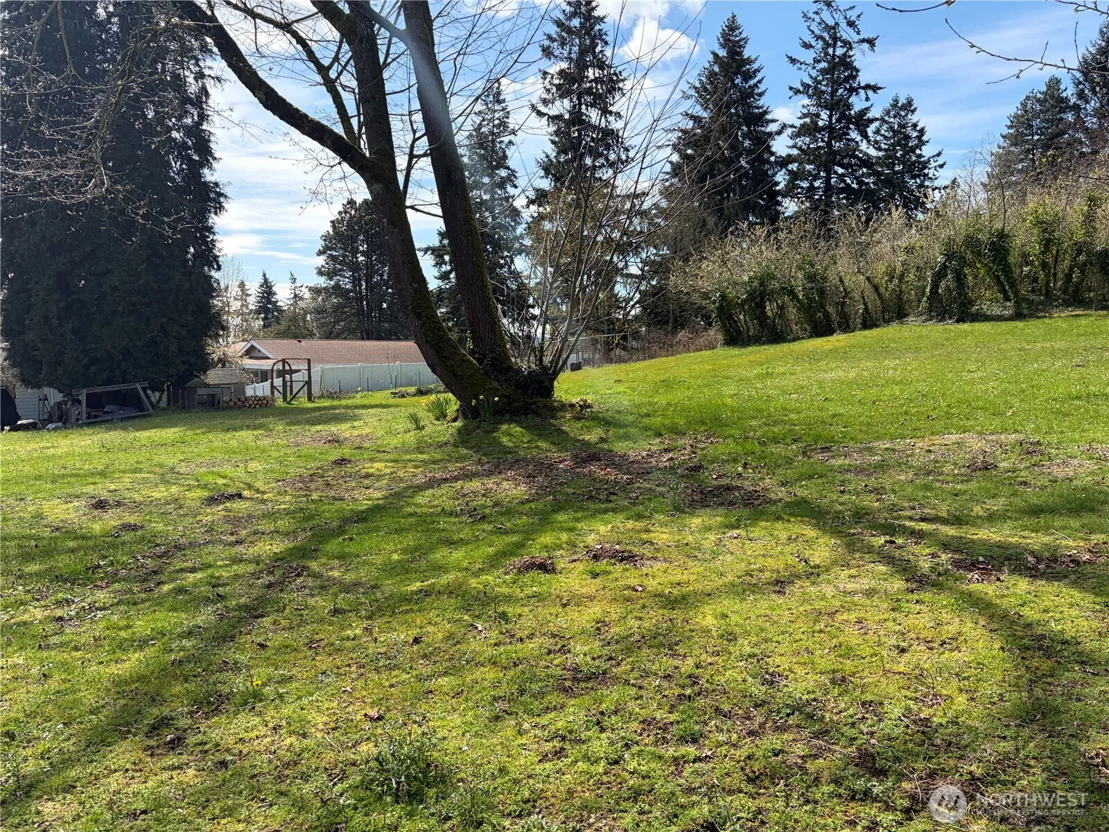 Property photo for 7411 S Langston Road, Seattle photo 5