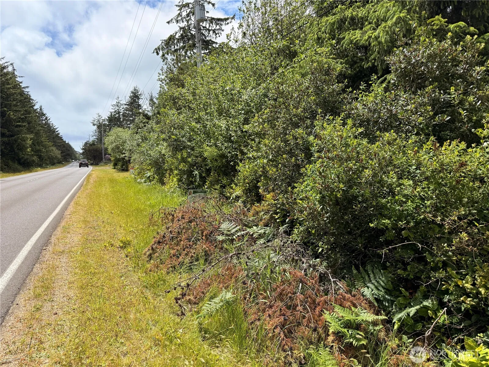 Property photo for 553 Dolphin Avenue Ne, Ocean Shores photo 2