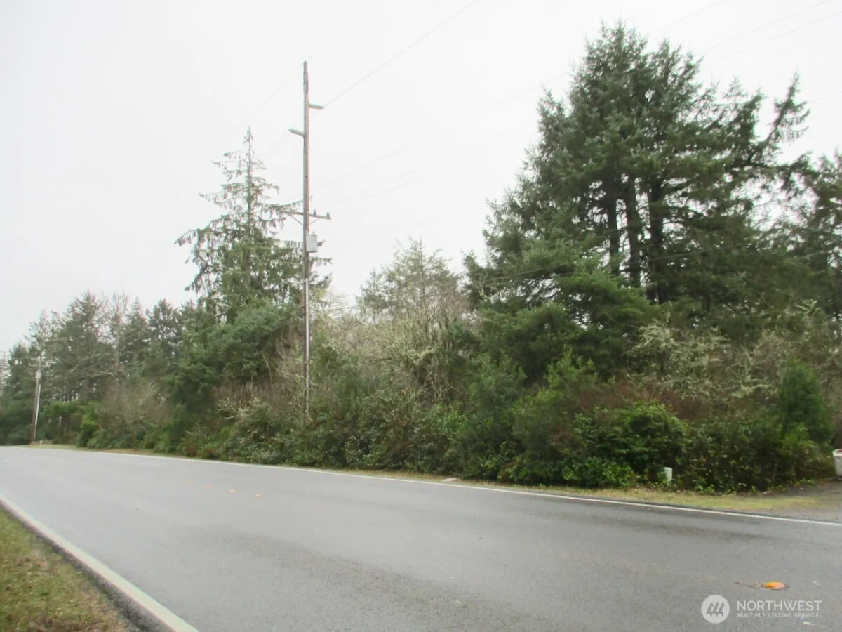 Property photo for 553 Dolphin Avenue Ne, Ocean Shores photo 4