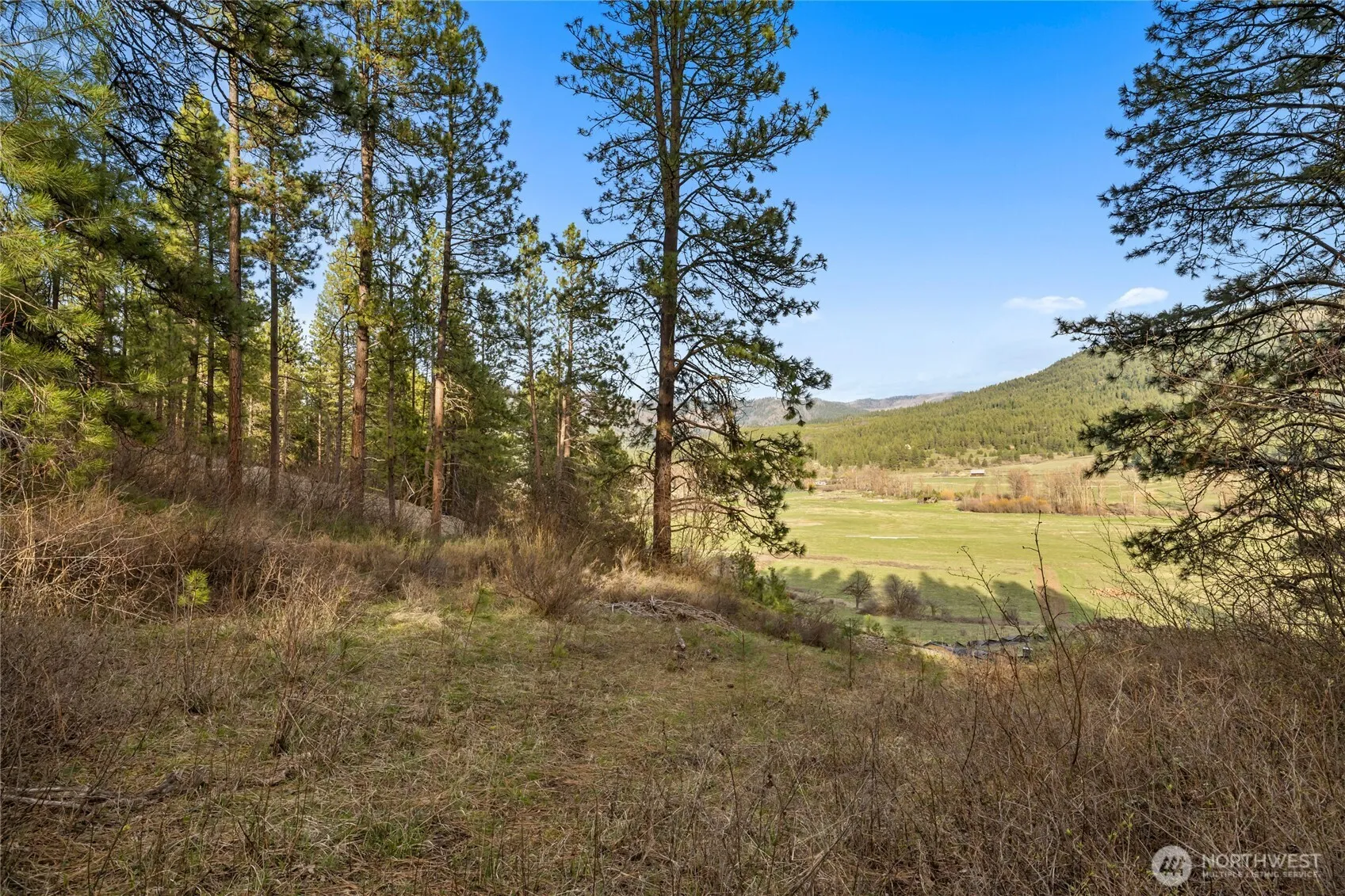 Property photo for 250 Fir Tree Drive, Cle Elum photo 3