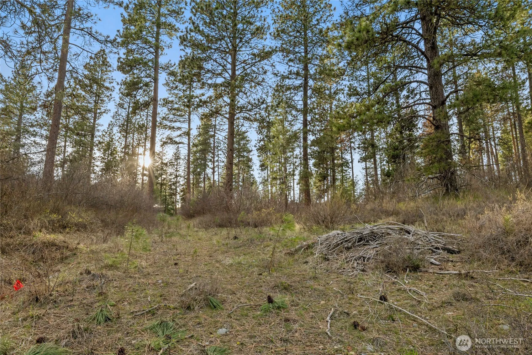 Property photo for 250 Fir Tree Drive, Cle Elum photo 4