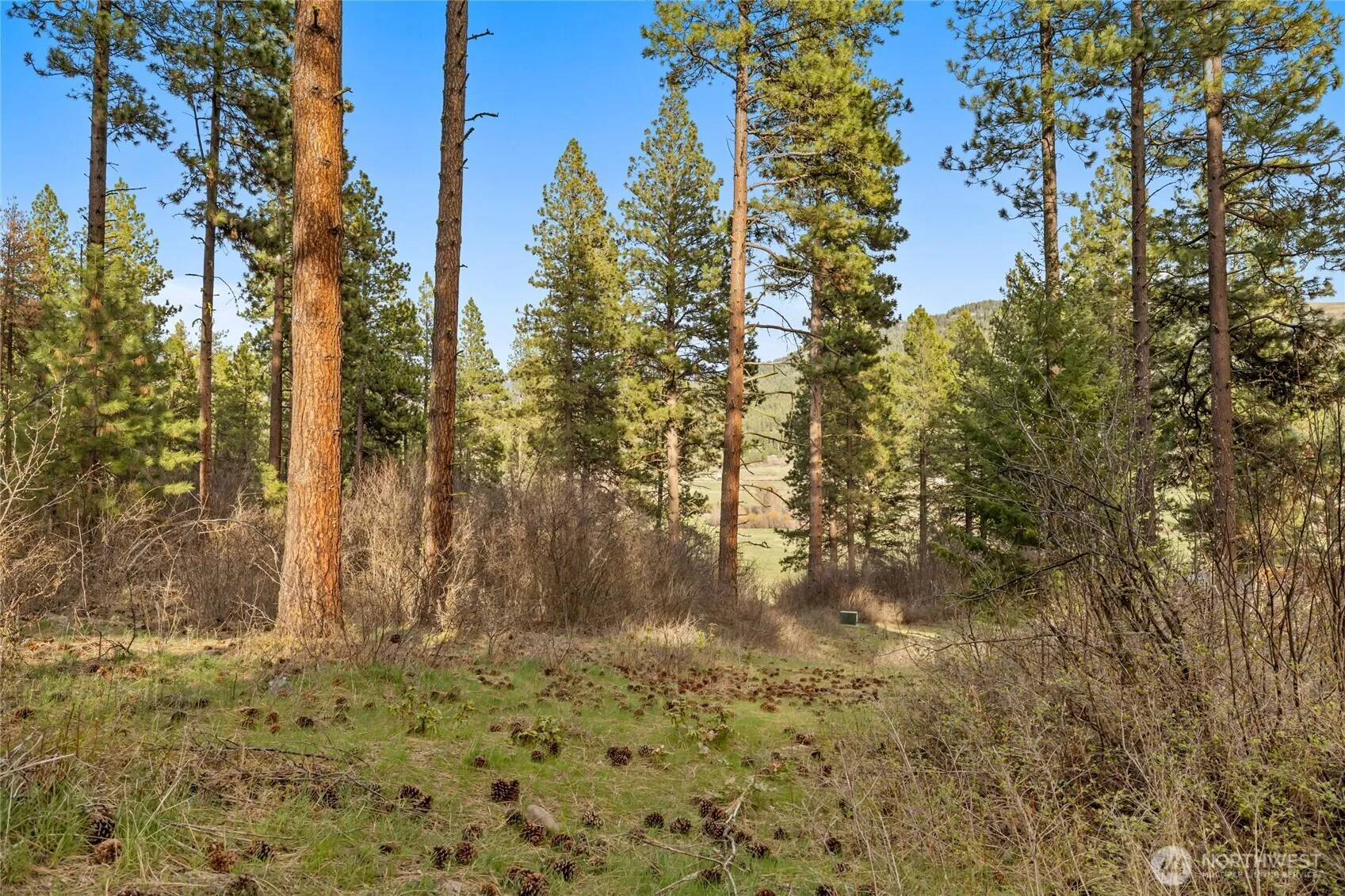 Property photo for 250 Fir Tree Drive, Cle Elum