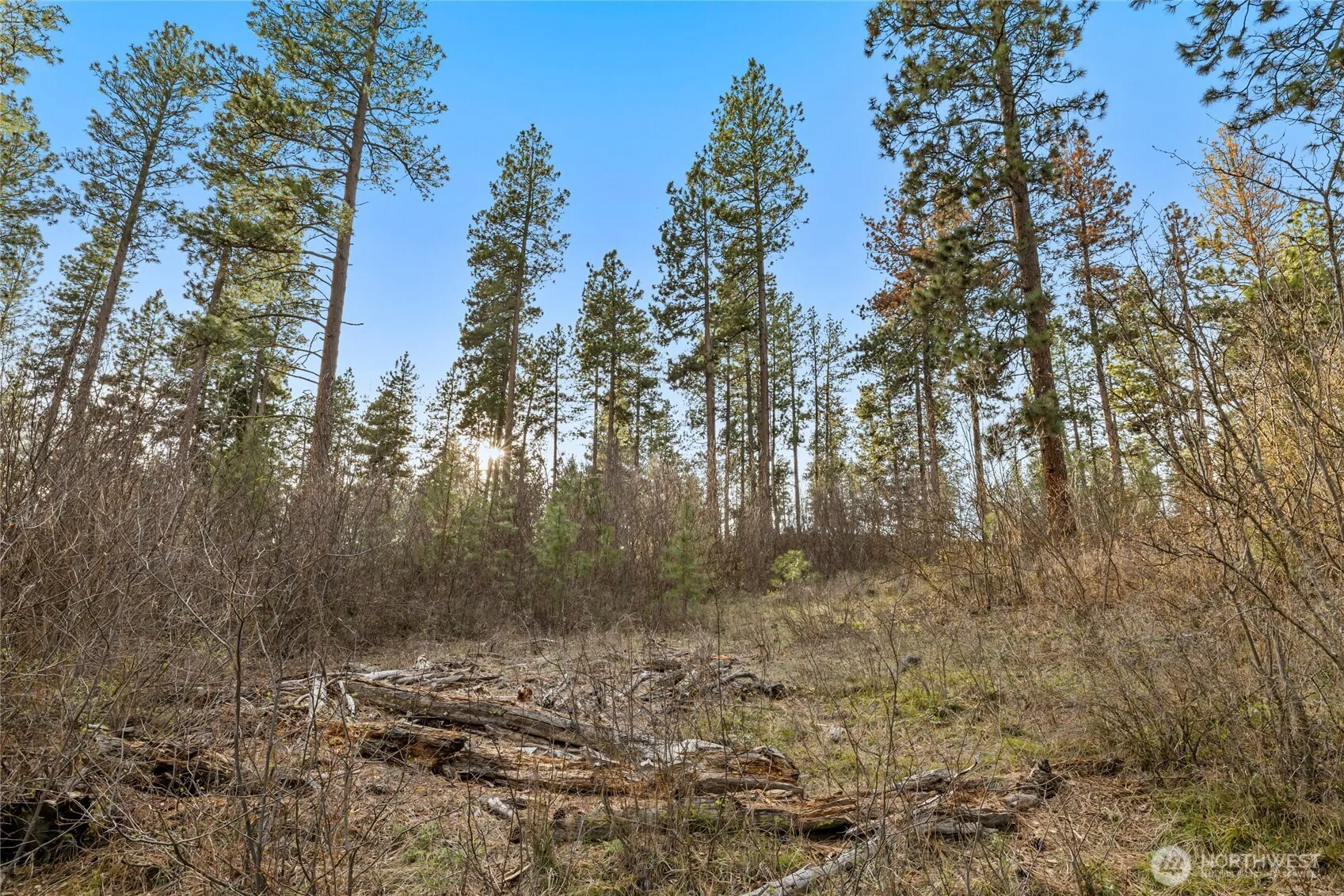 Property photo for 250 Fir Tree Drive, Cle Elum photo 5