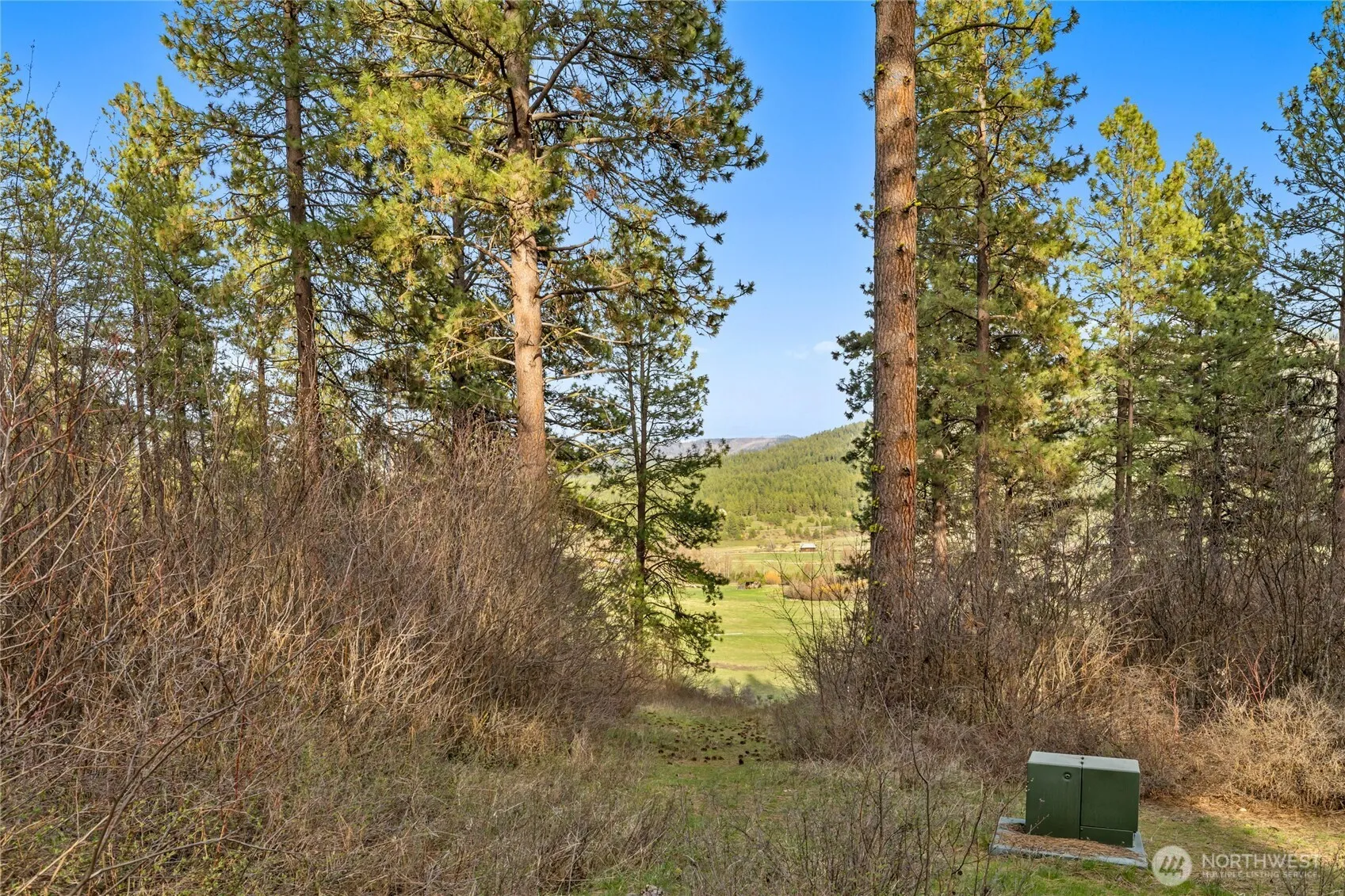 Property photo for 250 Fir Tree Drive, Cle Elum photo 2
