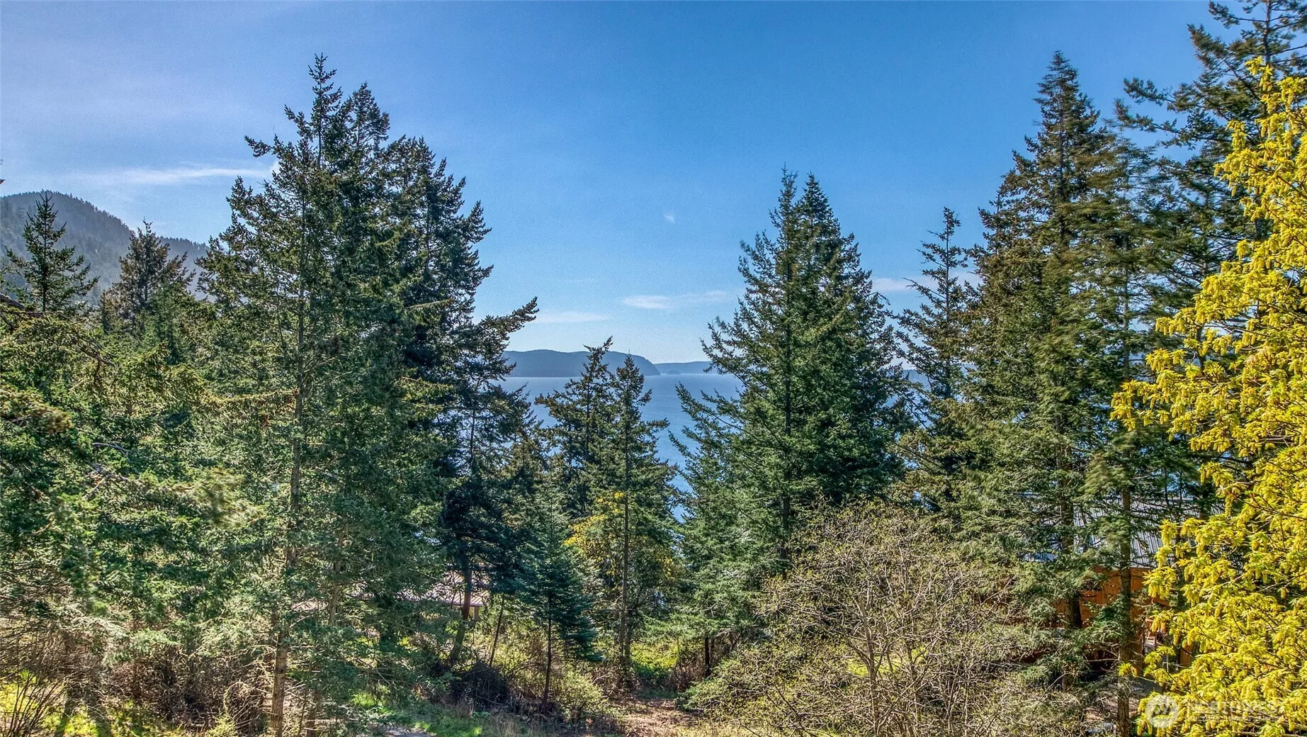 Property photo for 263 Cascade Way, Orcas Island photo 4