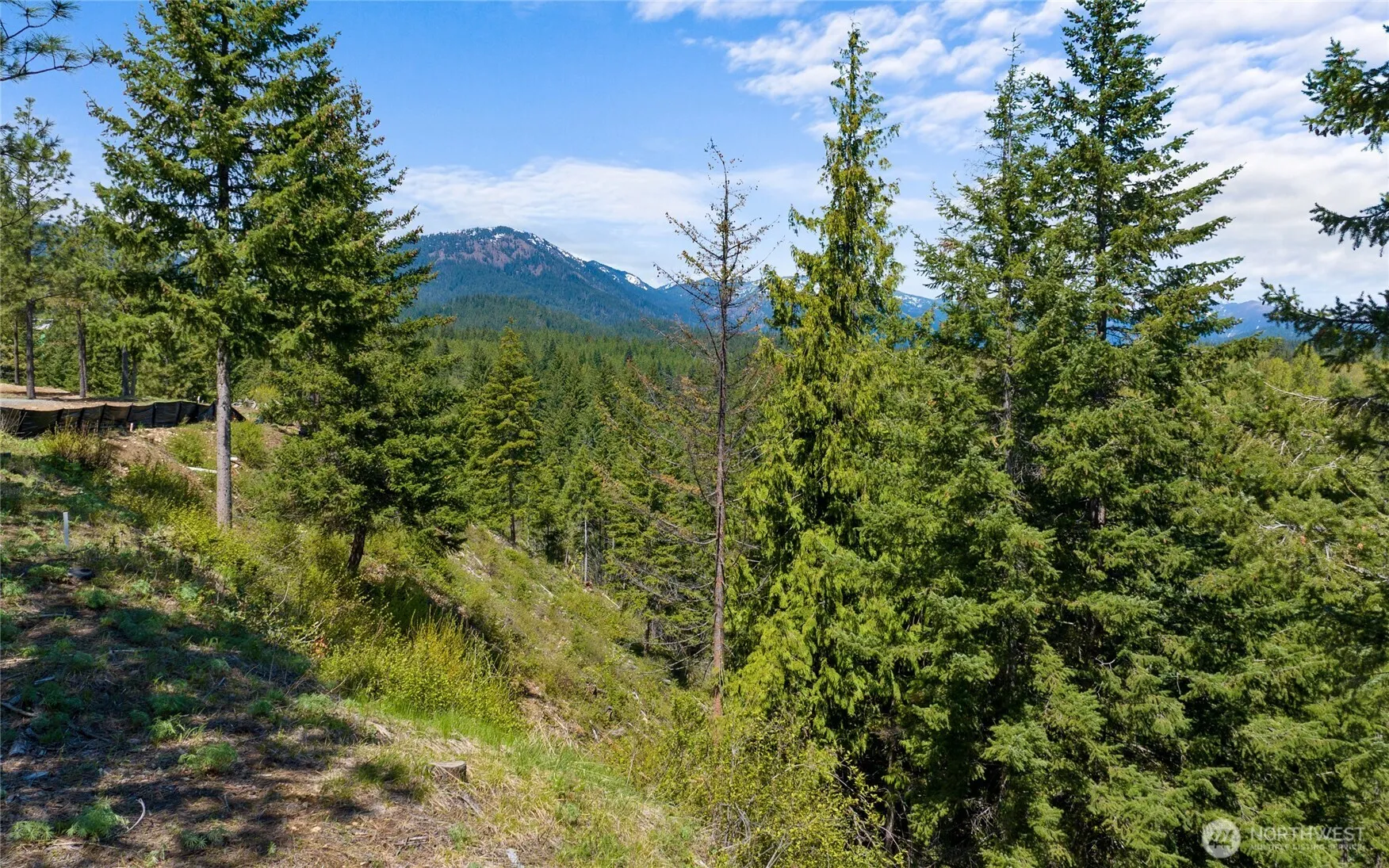 Property photo for 45 Gold Leaf Lane, Cle Elum photo 5
