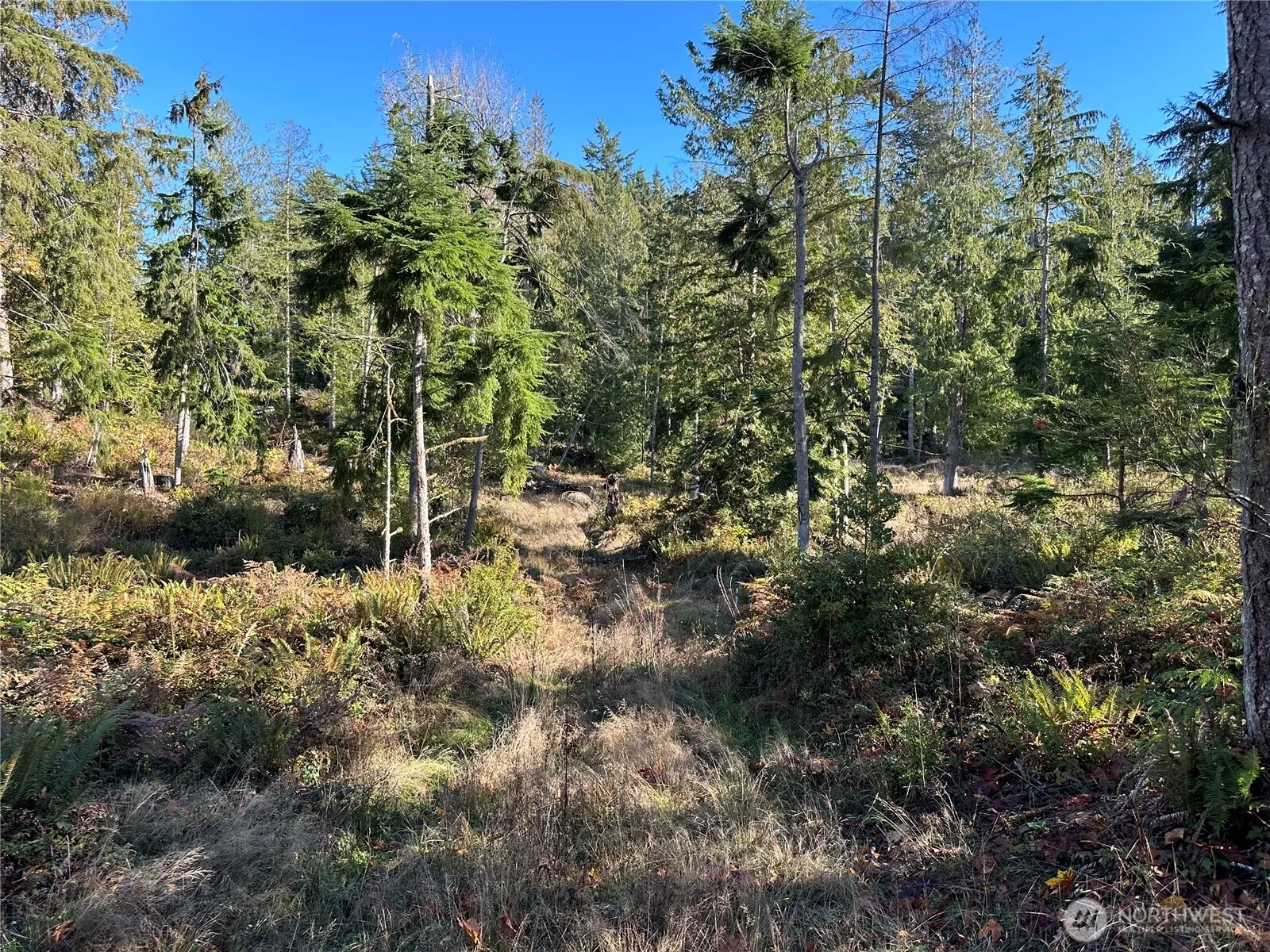 Property photo for 6 Lilypad Place E, Port Orchard