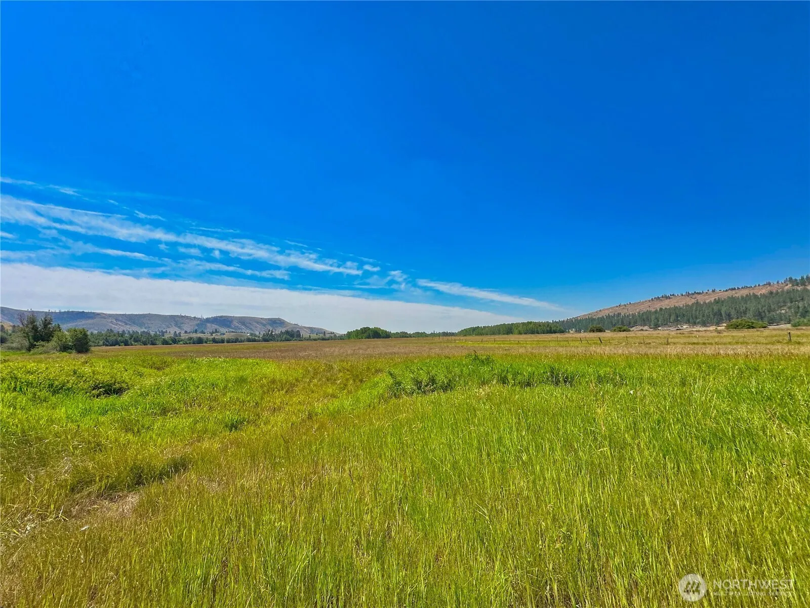 Property photo for 1111 Nna Hwy 155 Drive, Nespelem photo 3