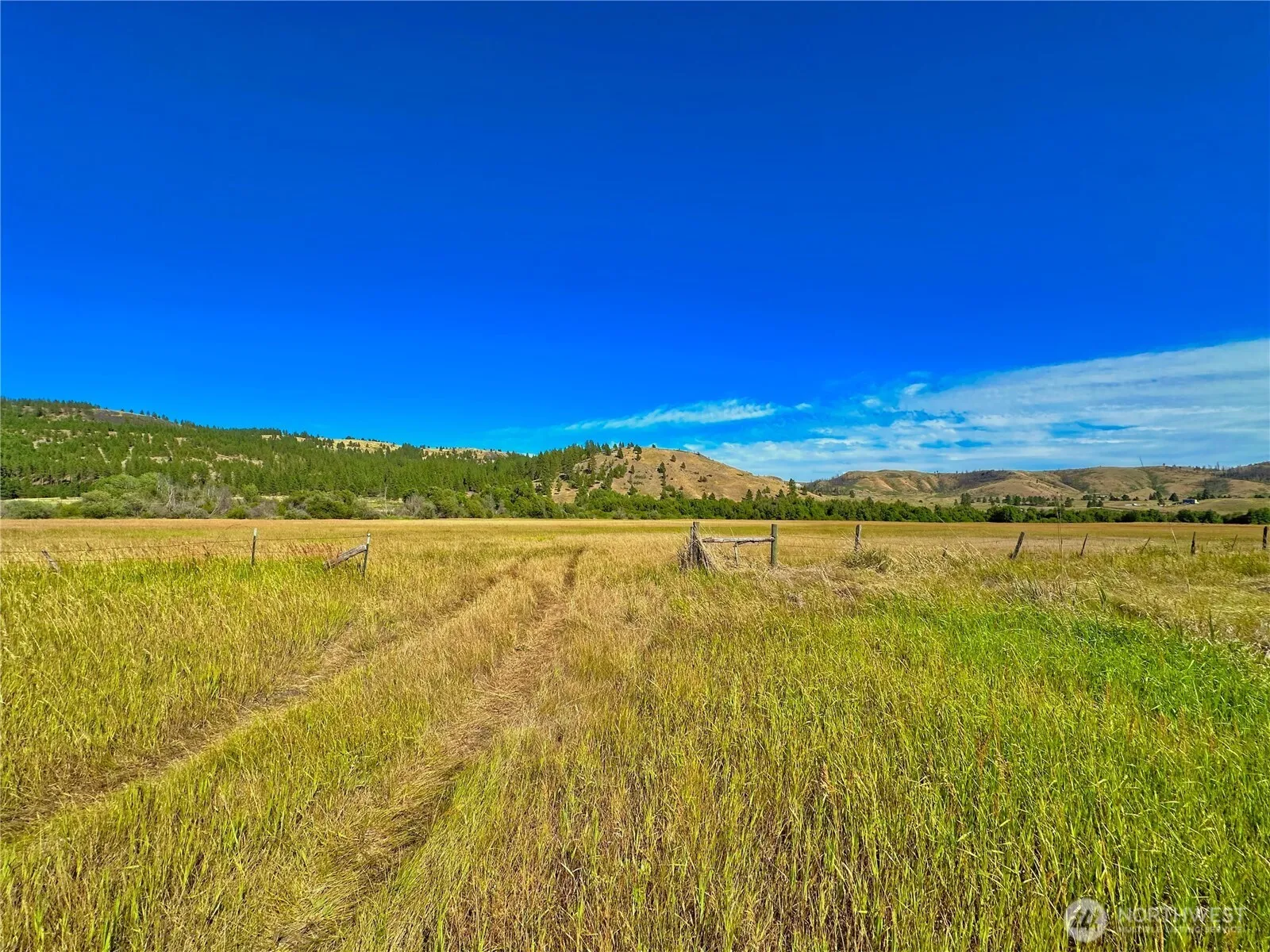 Property photo for 1111 Nna Hwy 155 Drive, Nespelem photo 4