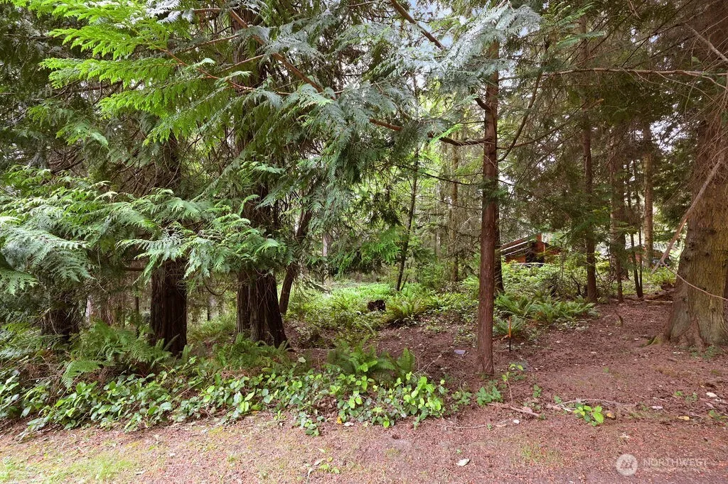 Property photo for 241 Belvedere Drive, Port Townsend