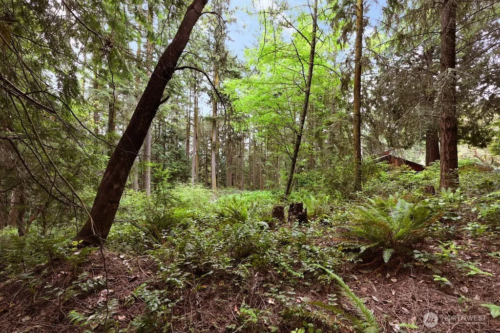 Property photo for 241 Belvedere Drive, Port Townsend photo 3