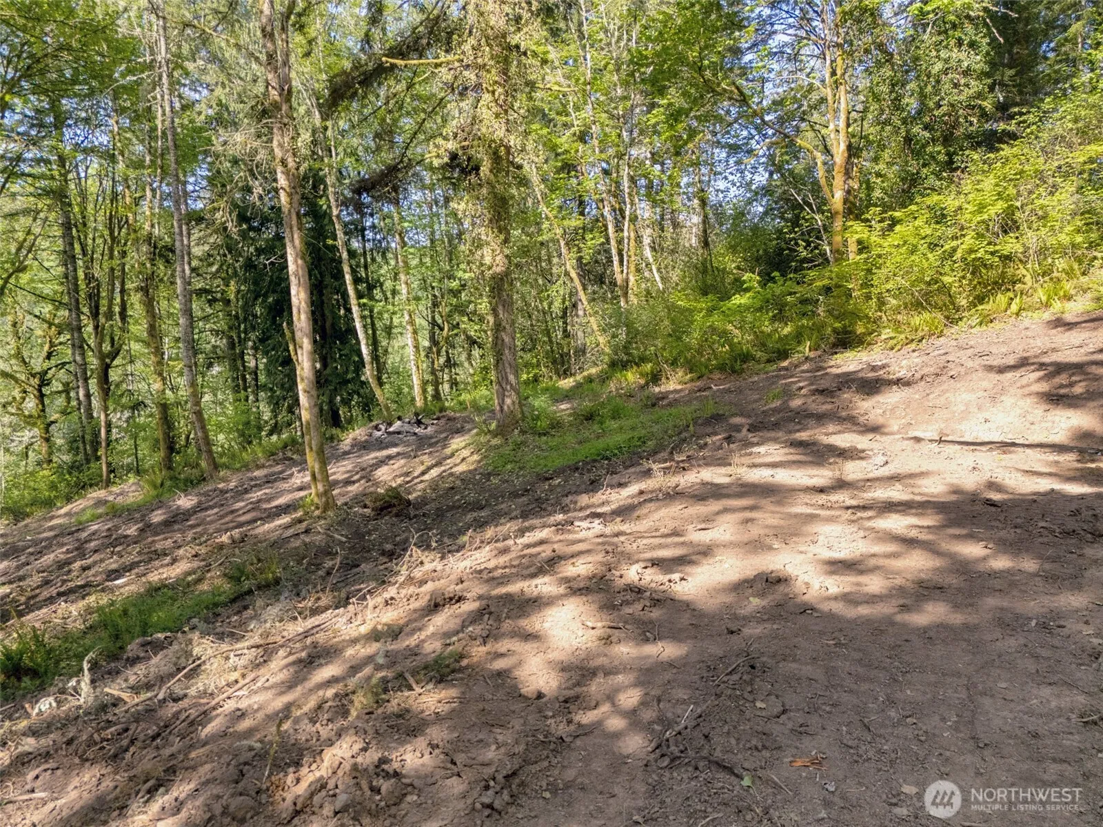 Property photo for 147 Old Spreadborough Road, Kalama photo 5